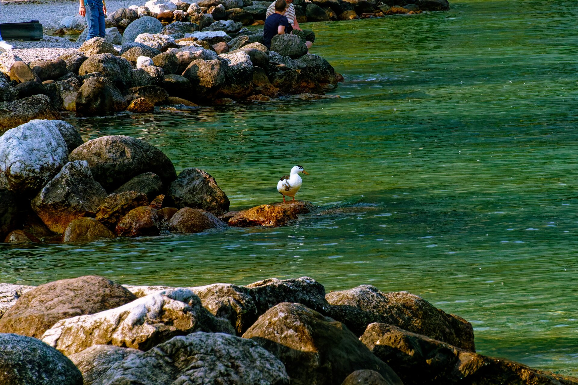 DSC05854_DxO.jpg