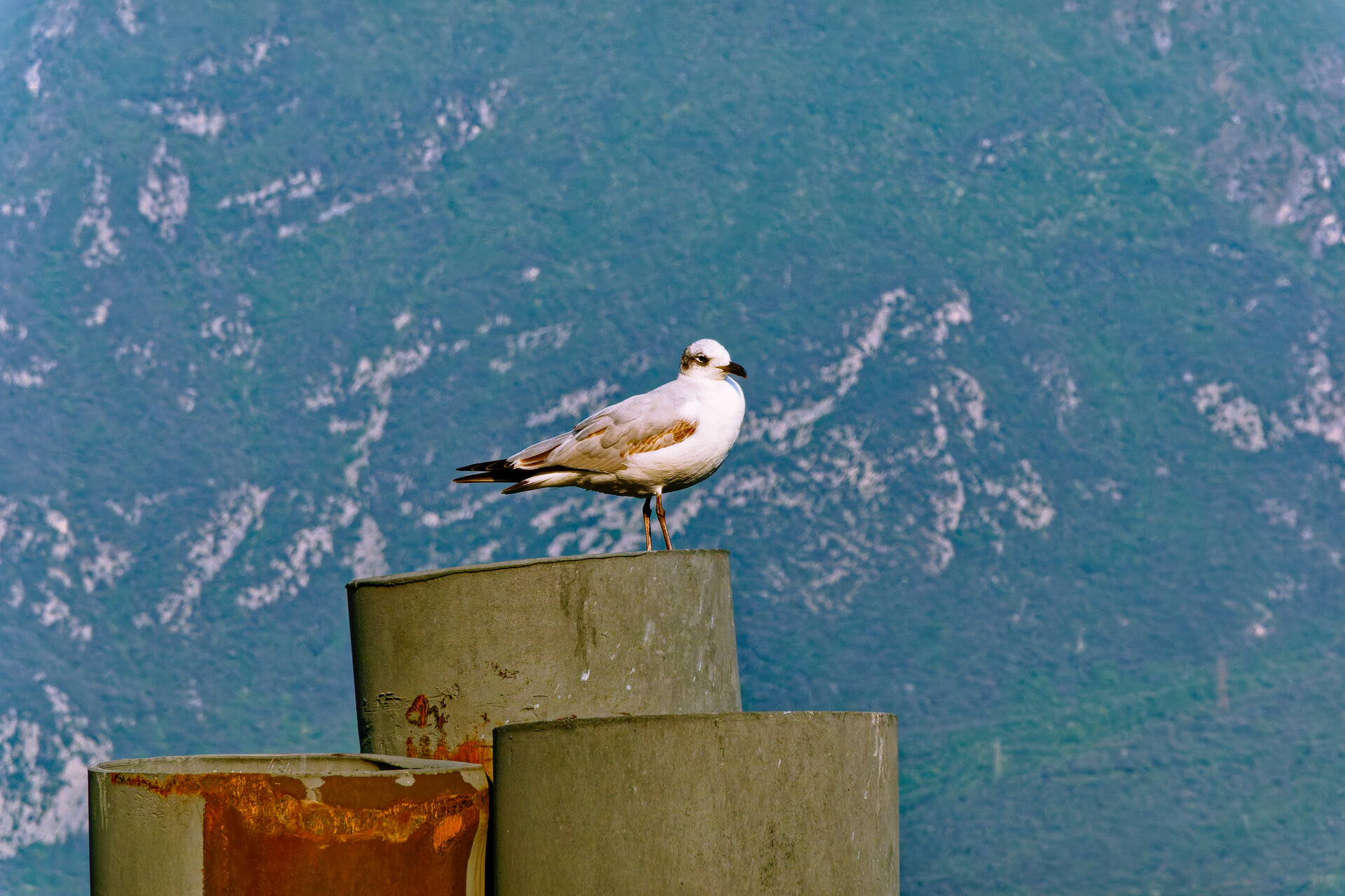 DSC05855_DxO.jpg