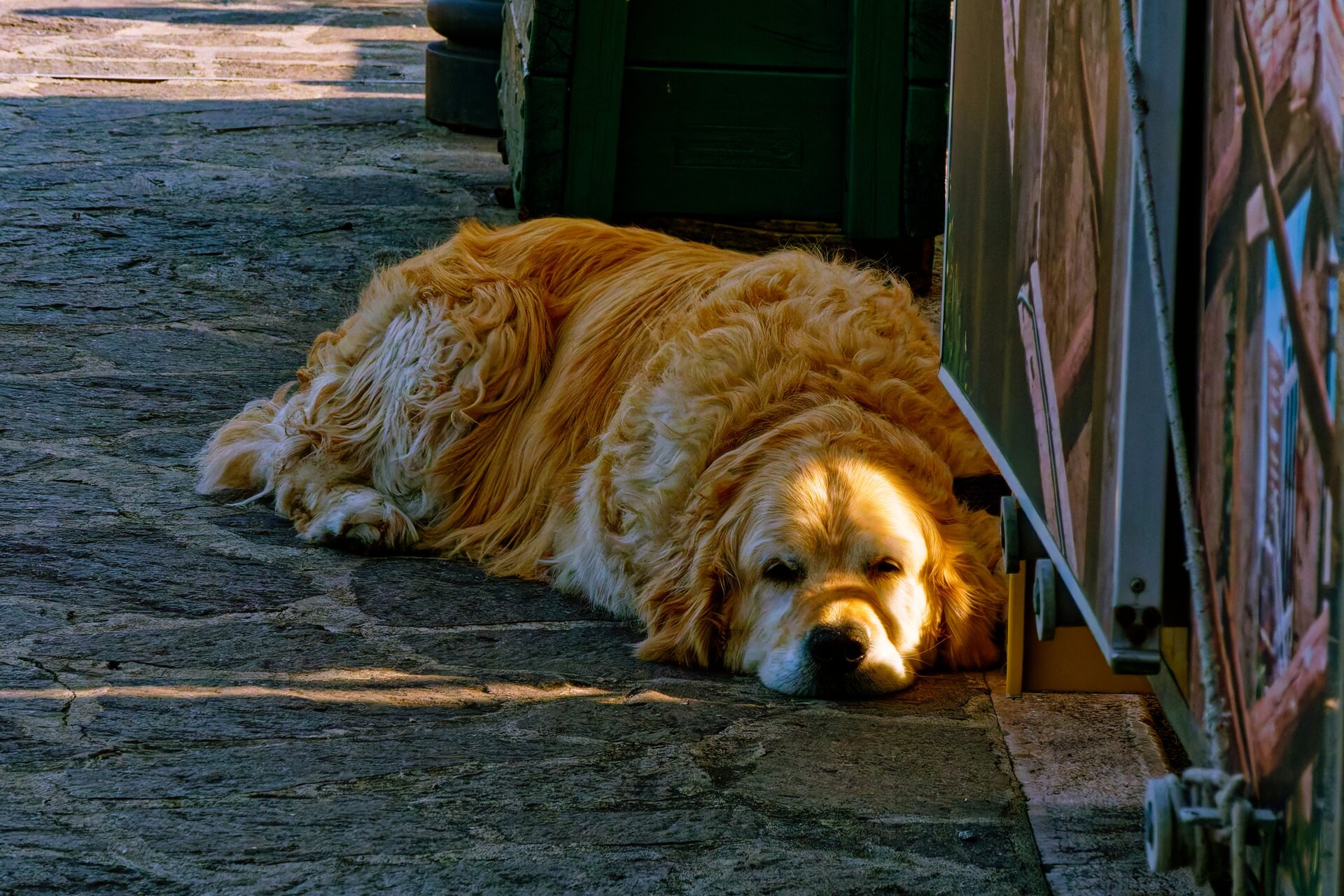 DSC05862_DxO.jpg