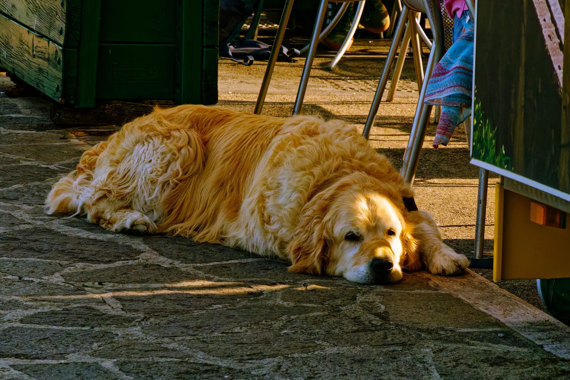 DSC05863_DxO.jpg