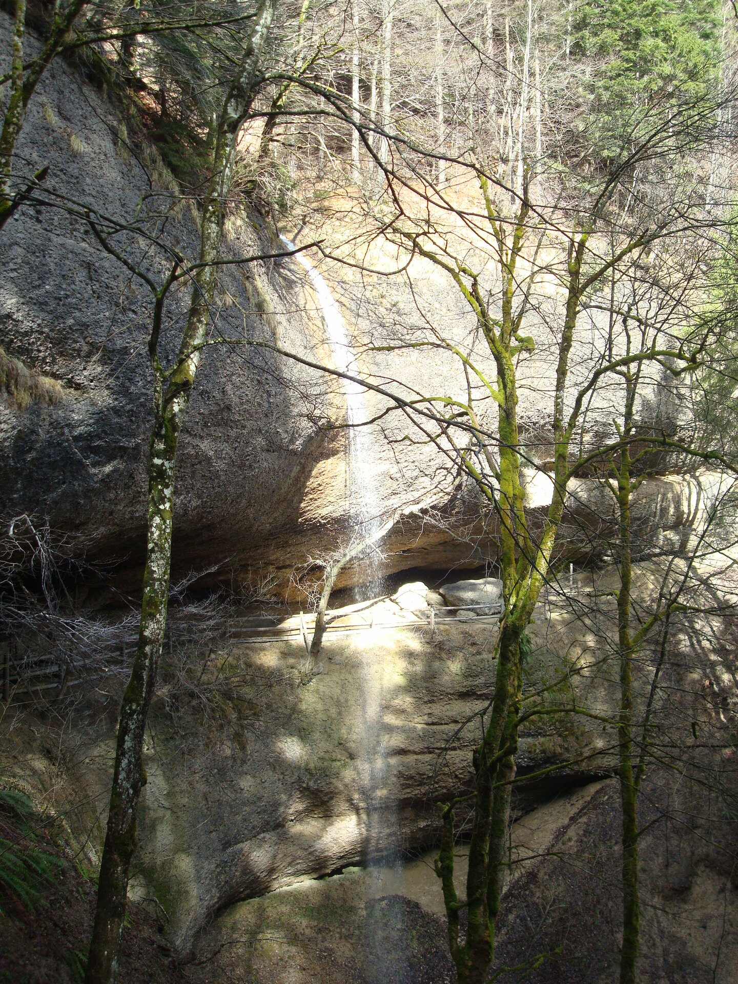 DSC05867.JPG
