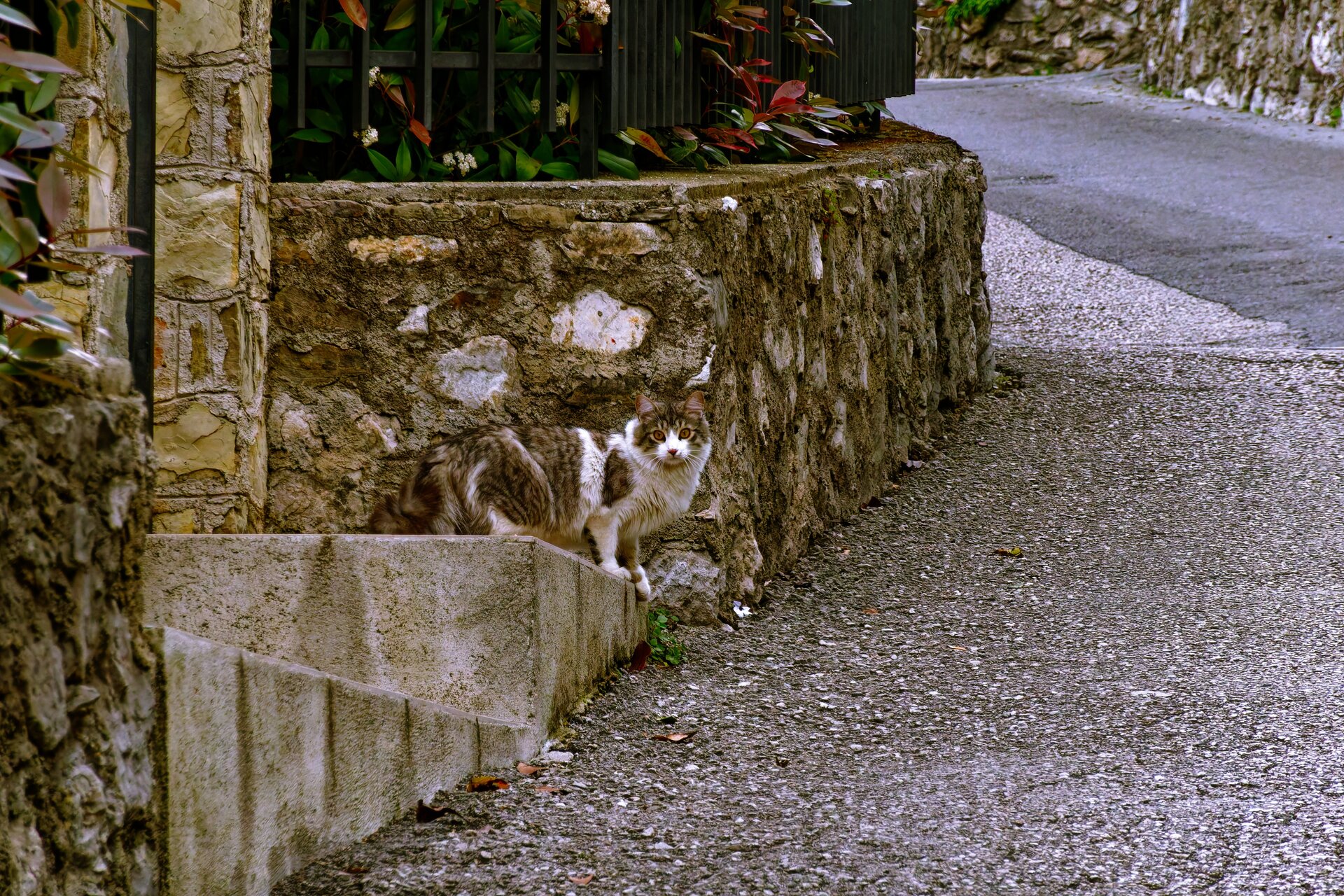 DSC06193_DxO.jpg