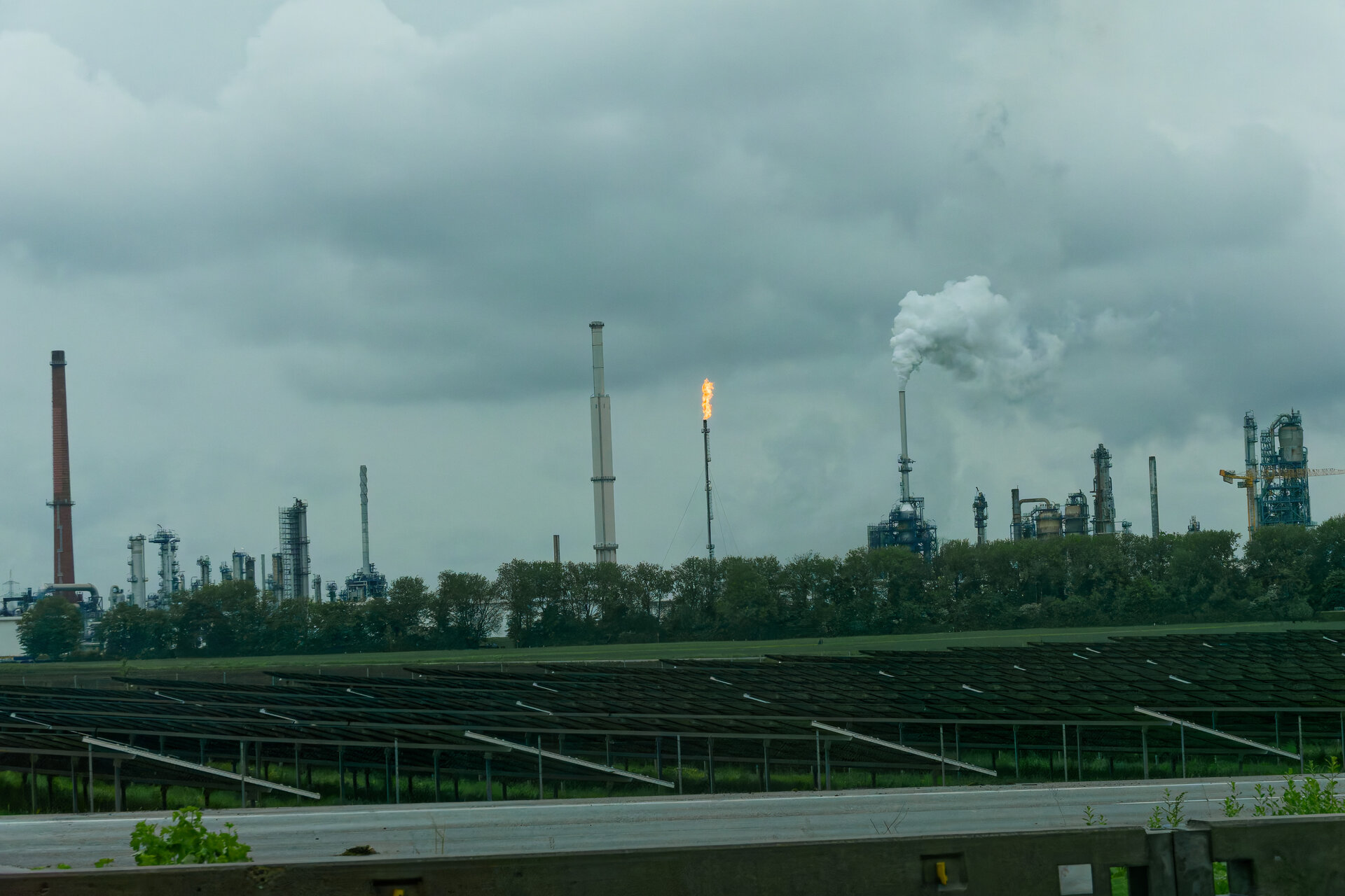 DSC06289_DxO.jpg