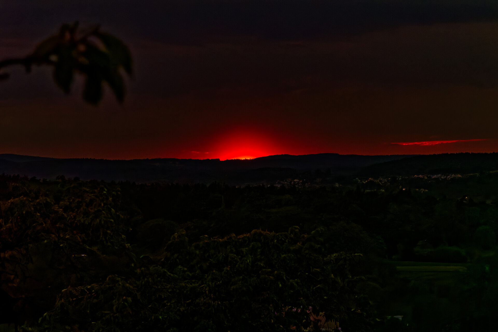 DSC06300_DxO.jpg