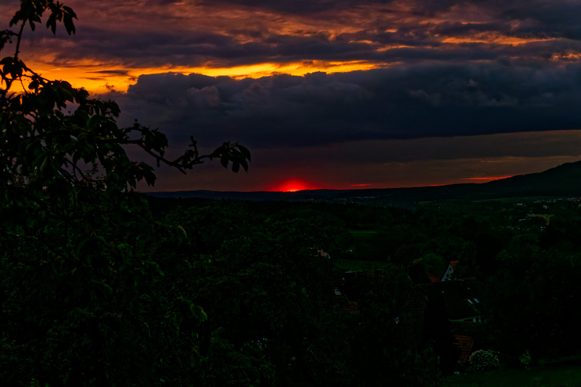 DSC06302_DxO.jpg