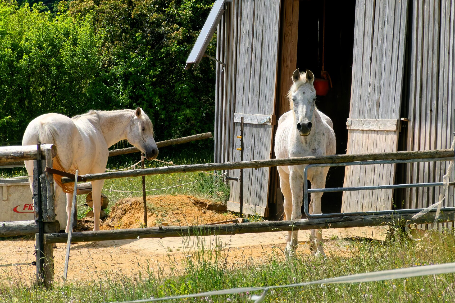 DSC06481_DxO.jpg