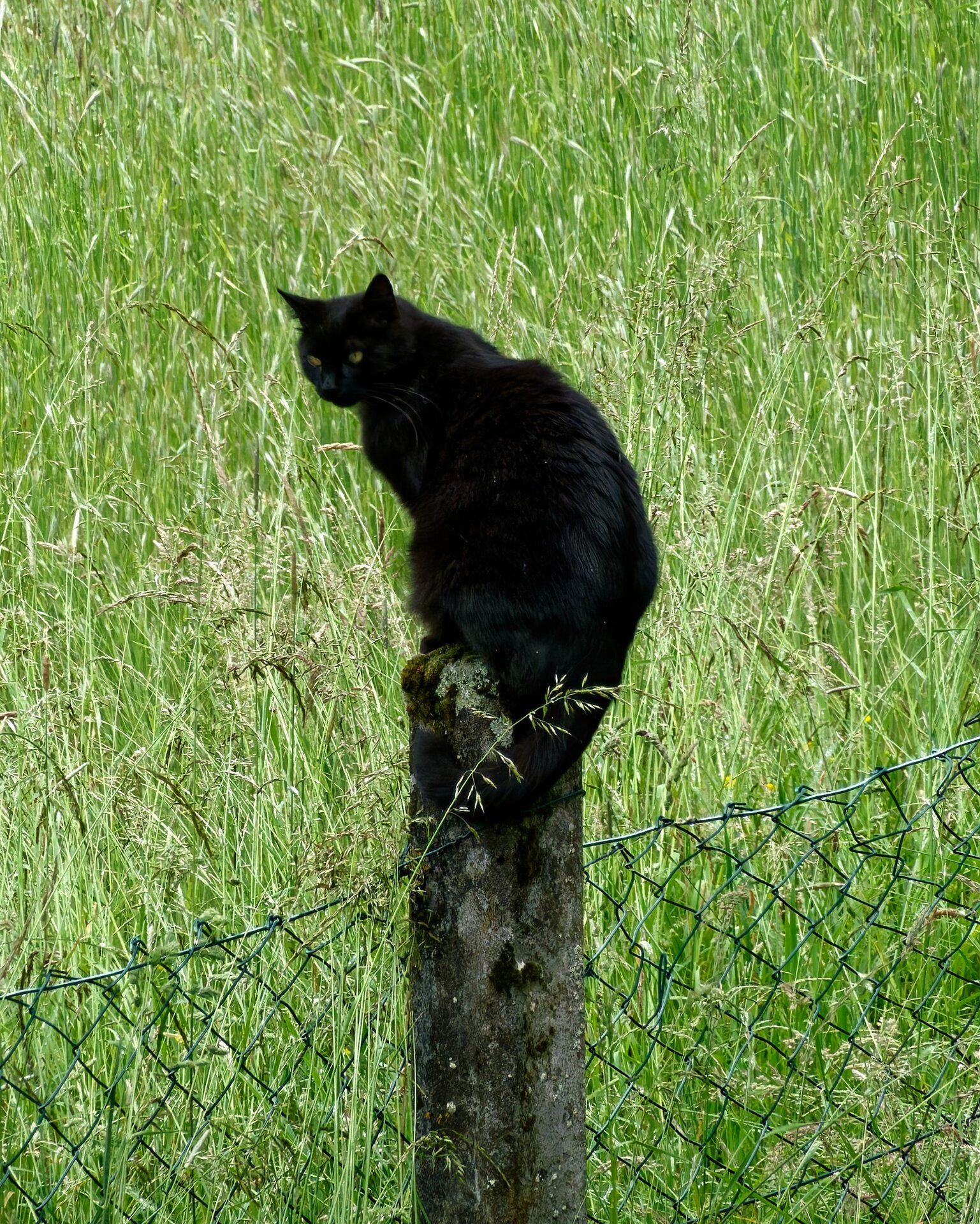 DSC06502_DxO.jpg