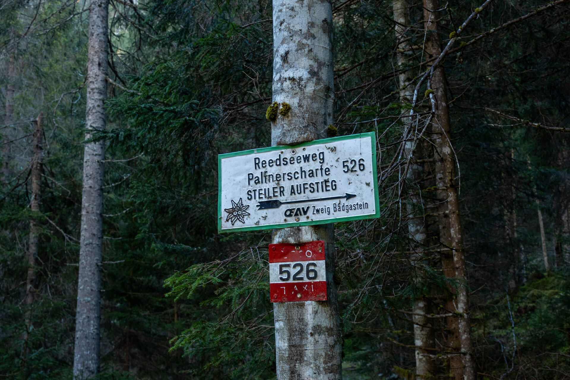 DSC06665.jpg