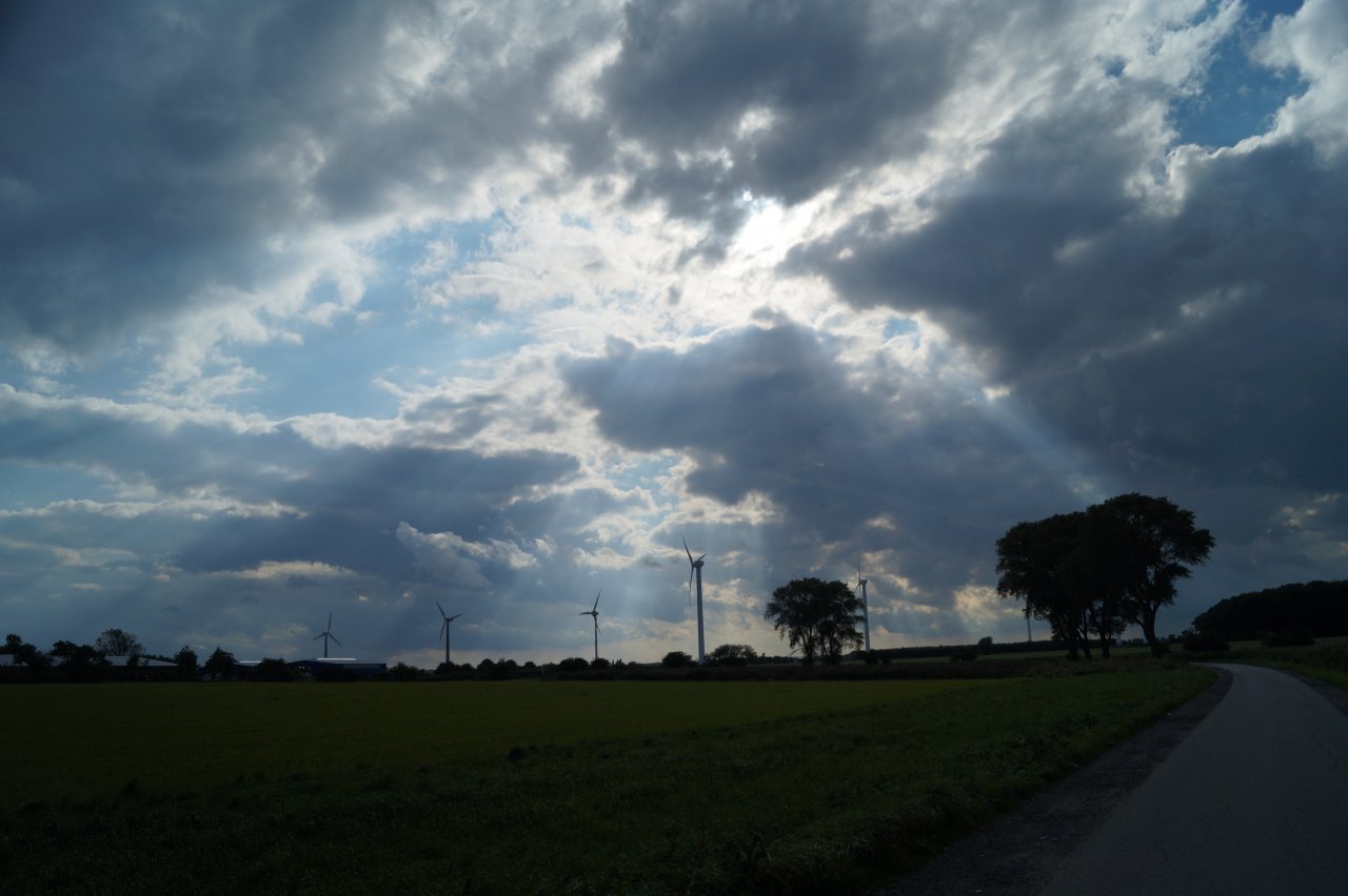 DSC06678.JPG