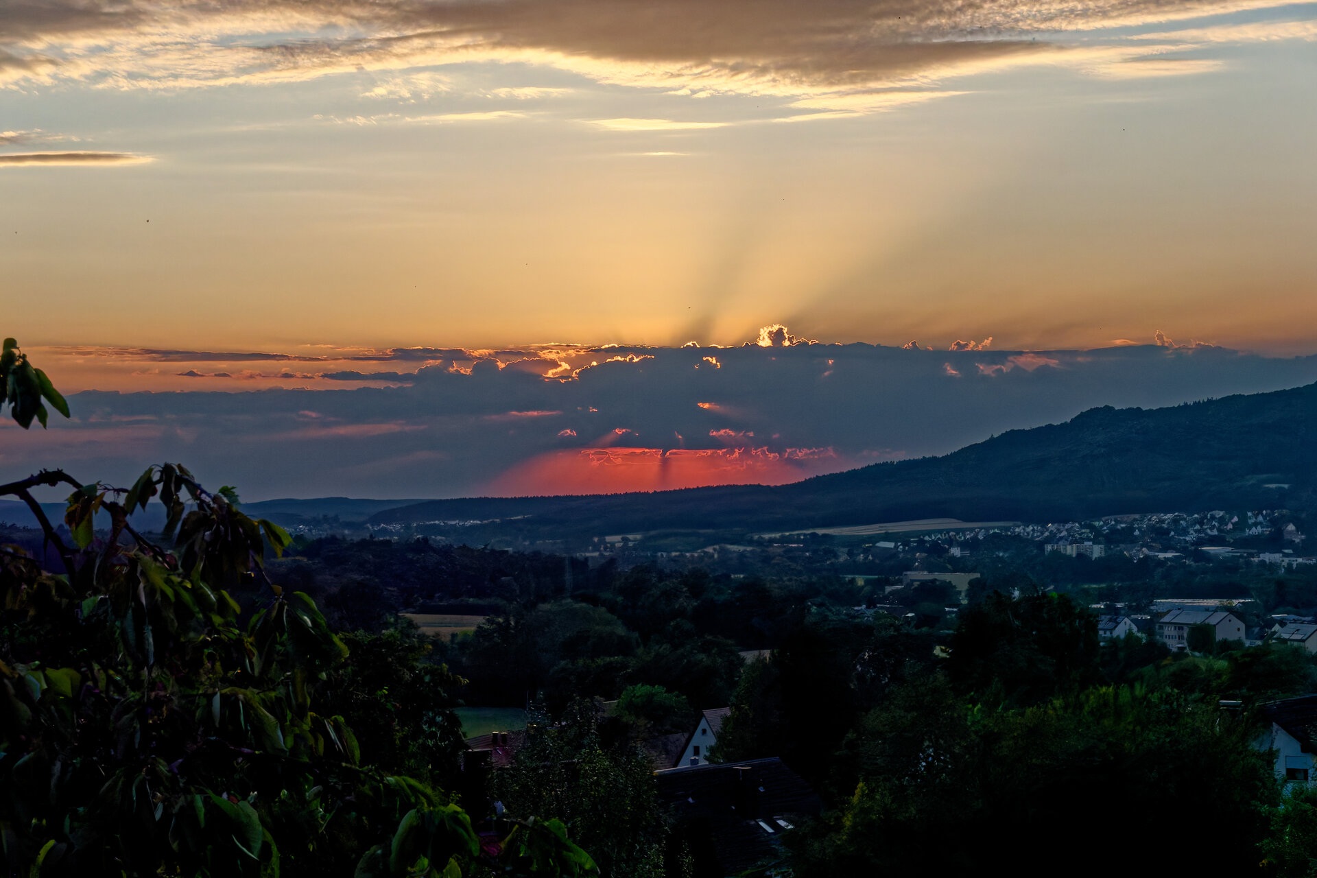 DSC06767_DxO.jpg