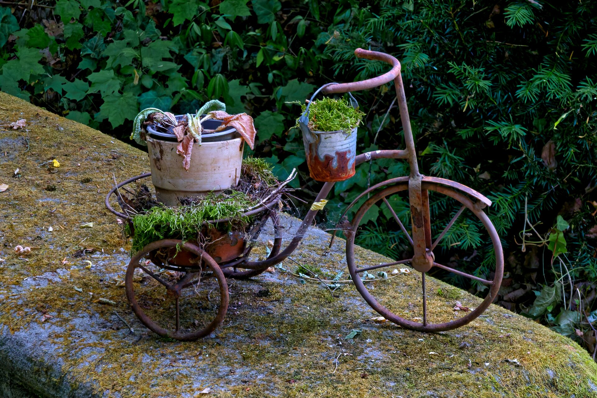 DSC06797_DxO.jpg