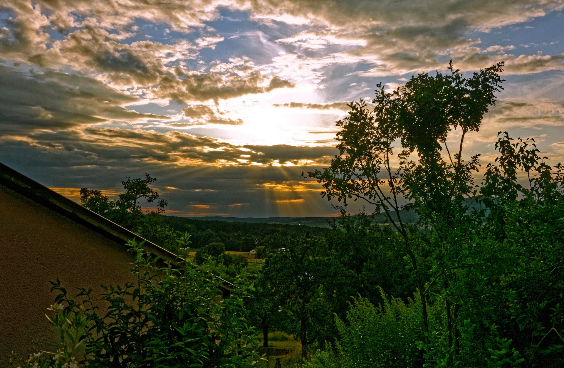 DSC06986_DxO-1.jpg