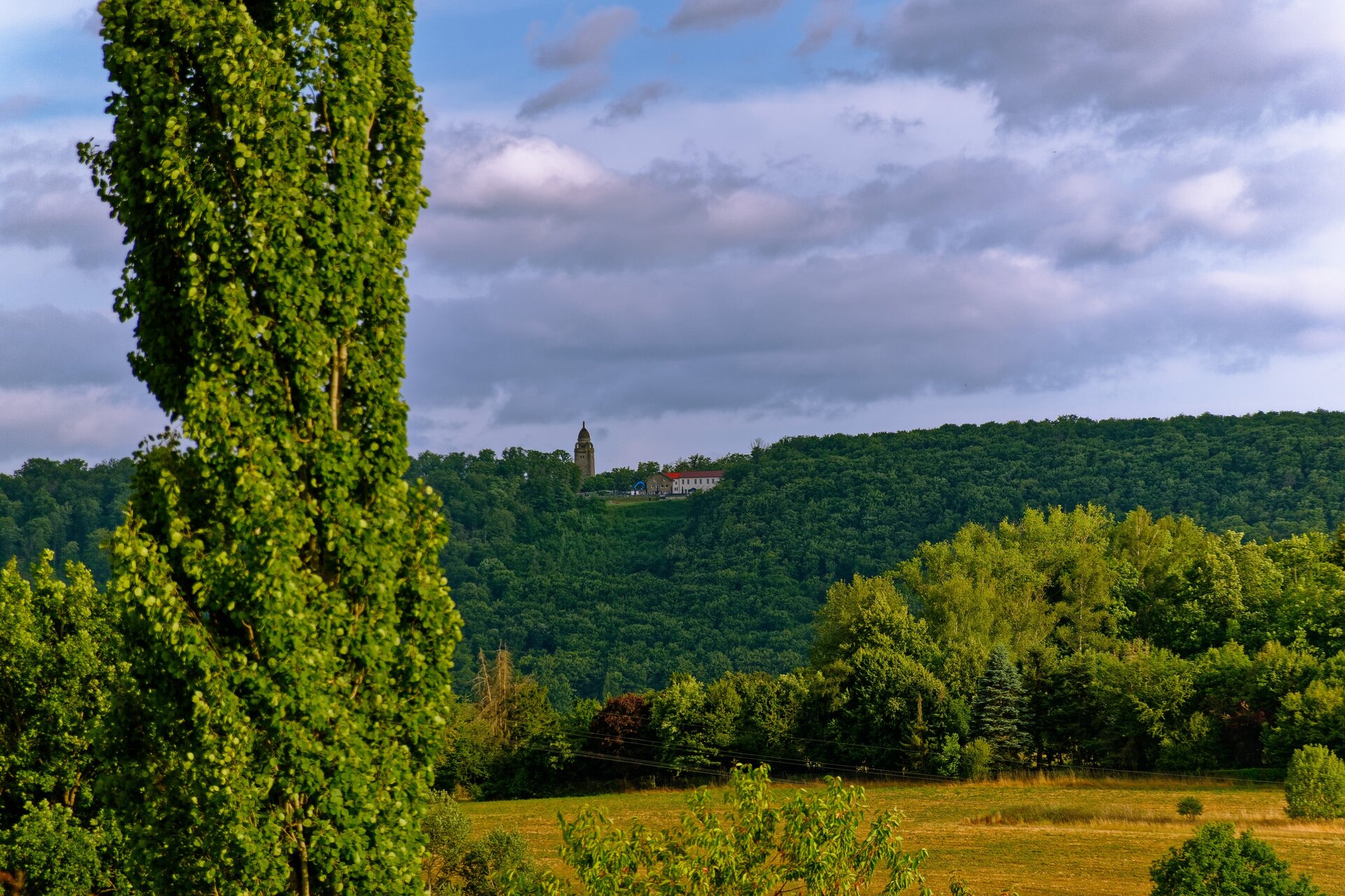 DSC07041_DxO.jpg