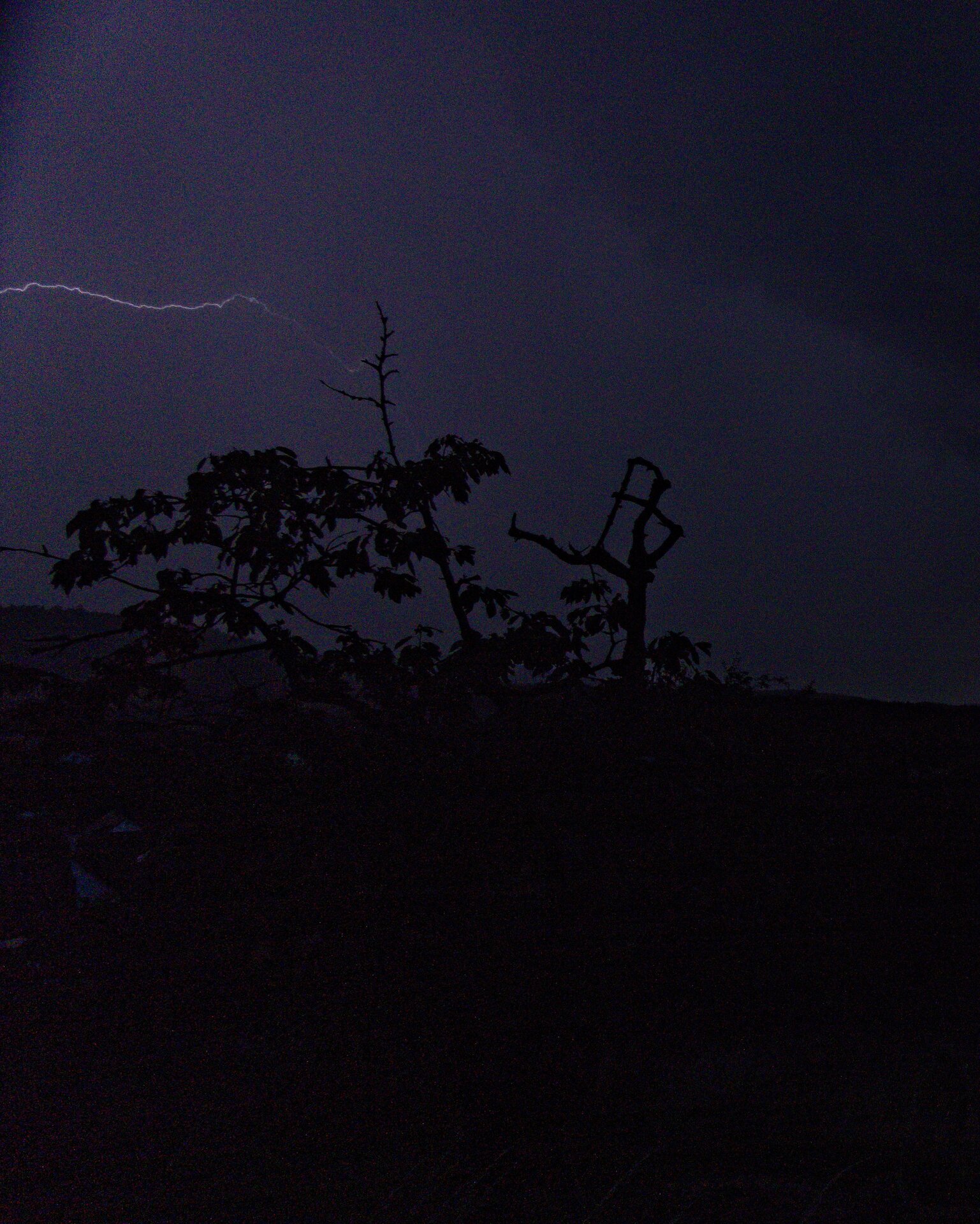 DSC07228_DxO.jpg