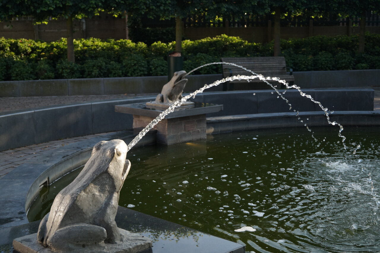 DSC07357.JPG