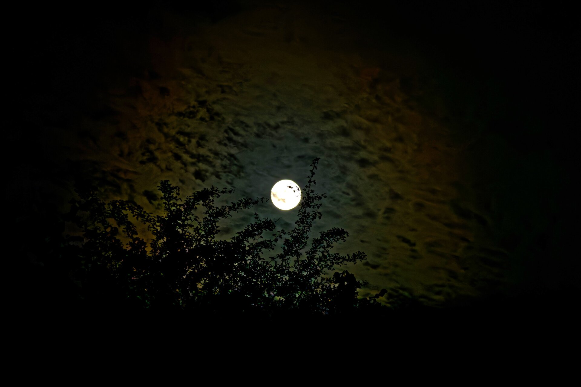 DSC07552_DxO.jpg