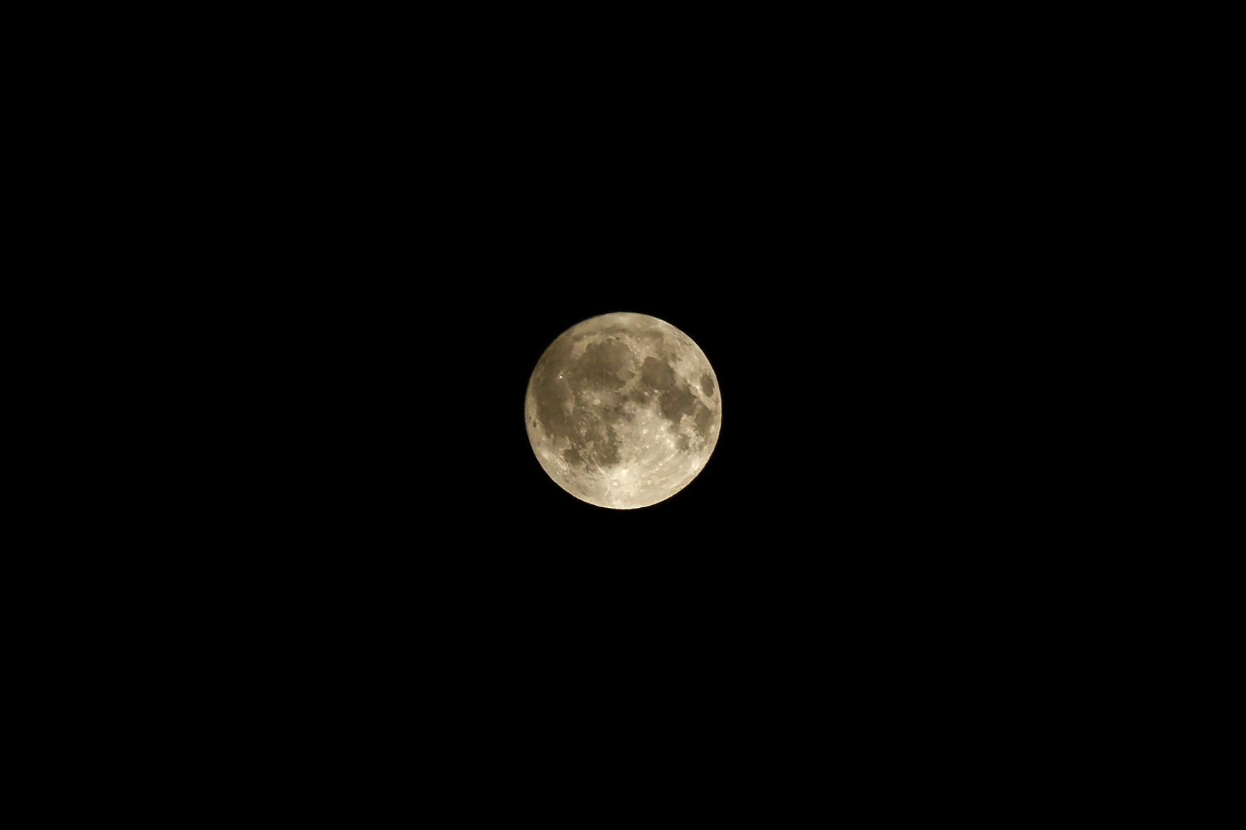DSC07565_DxO.jpg