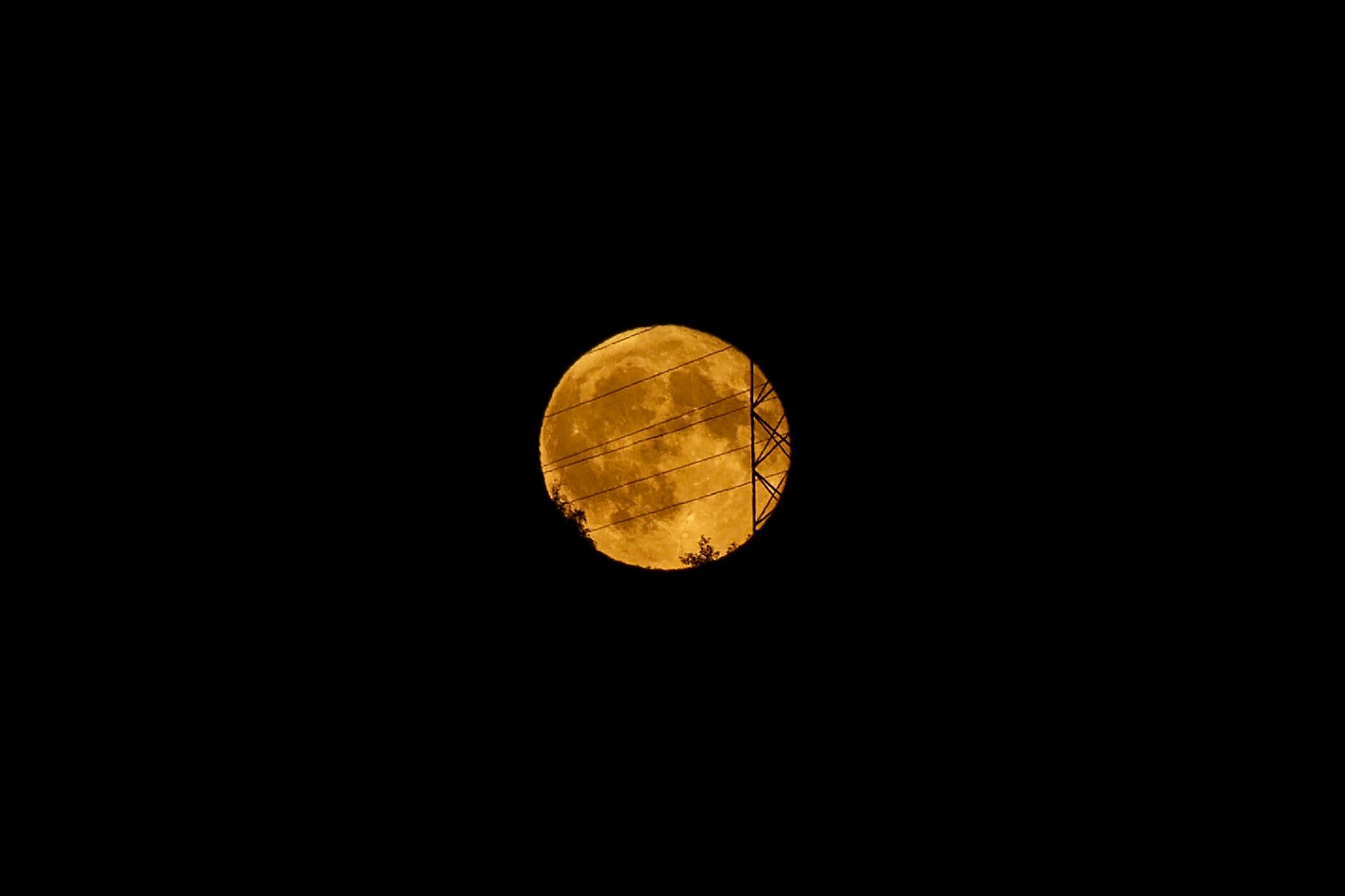 DSC07610_DxO.jpg