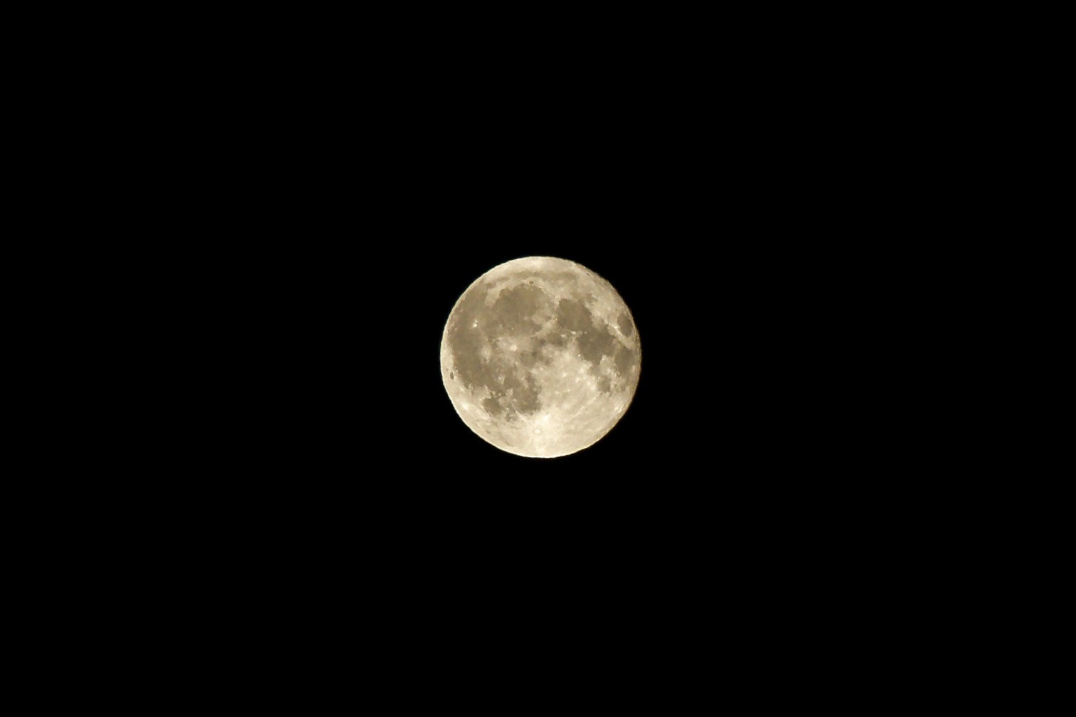 DSC07613_DxO.jpg
