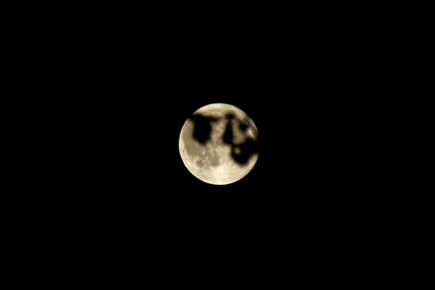DSC07616_DxO.jpg