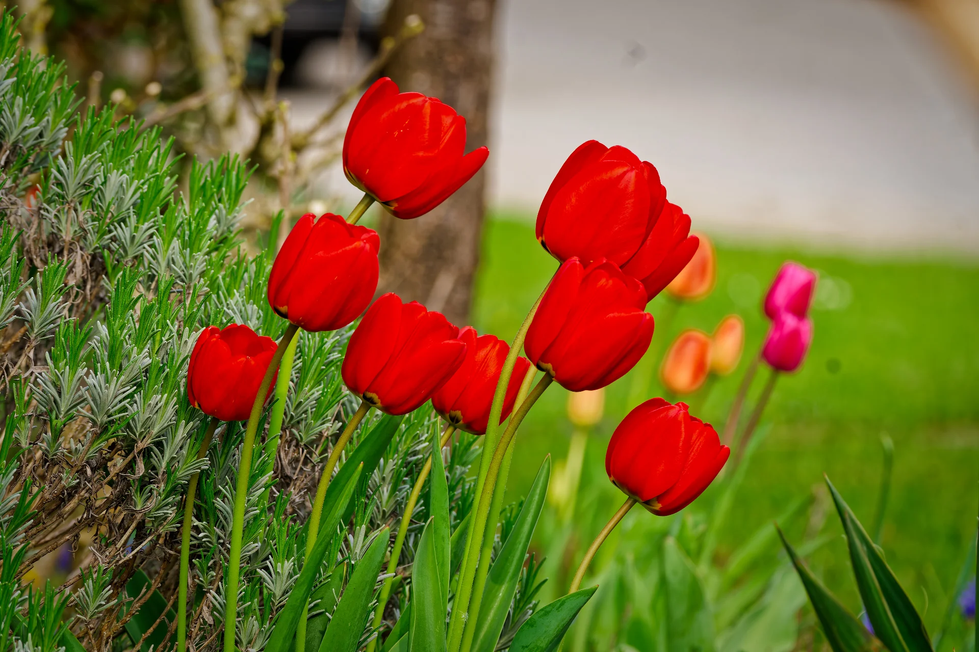 DSC07754_DxOAlpha.webp