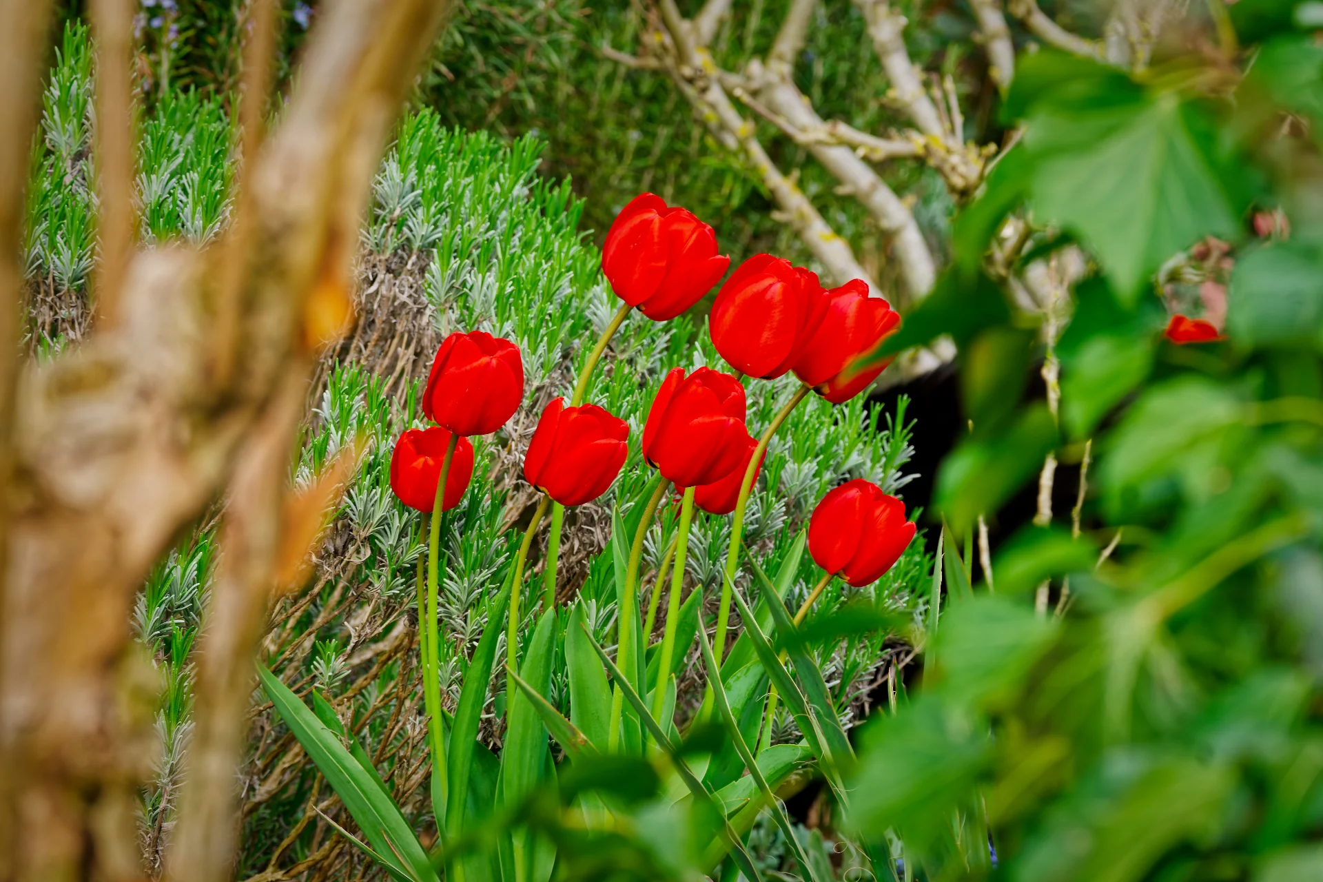 DSC07756_DxOAlpha.webp