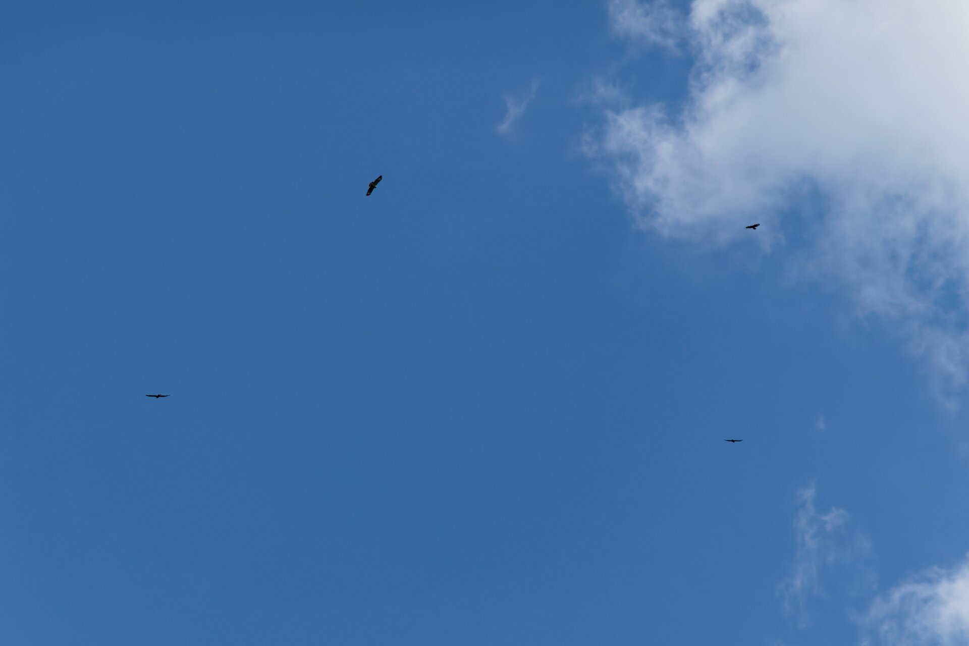 DSC07802_DxO-1.jpg