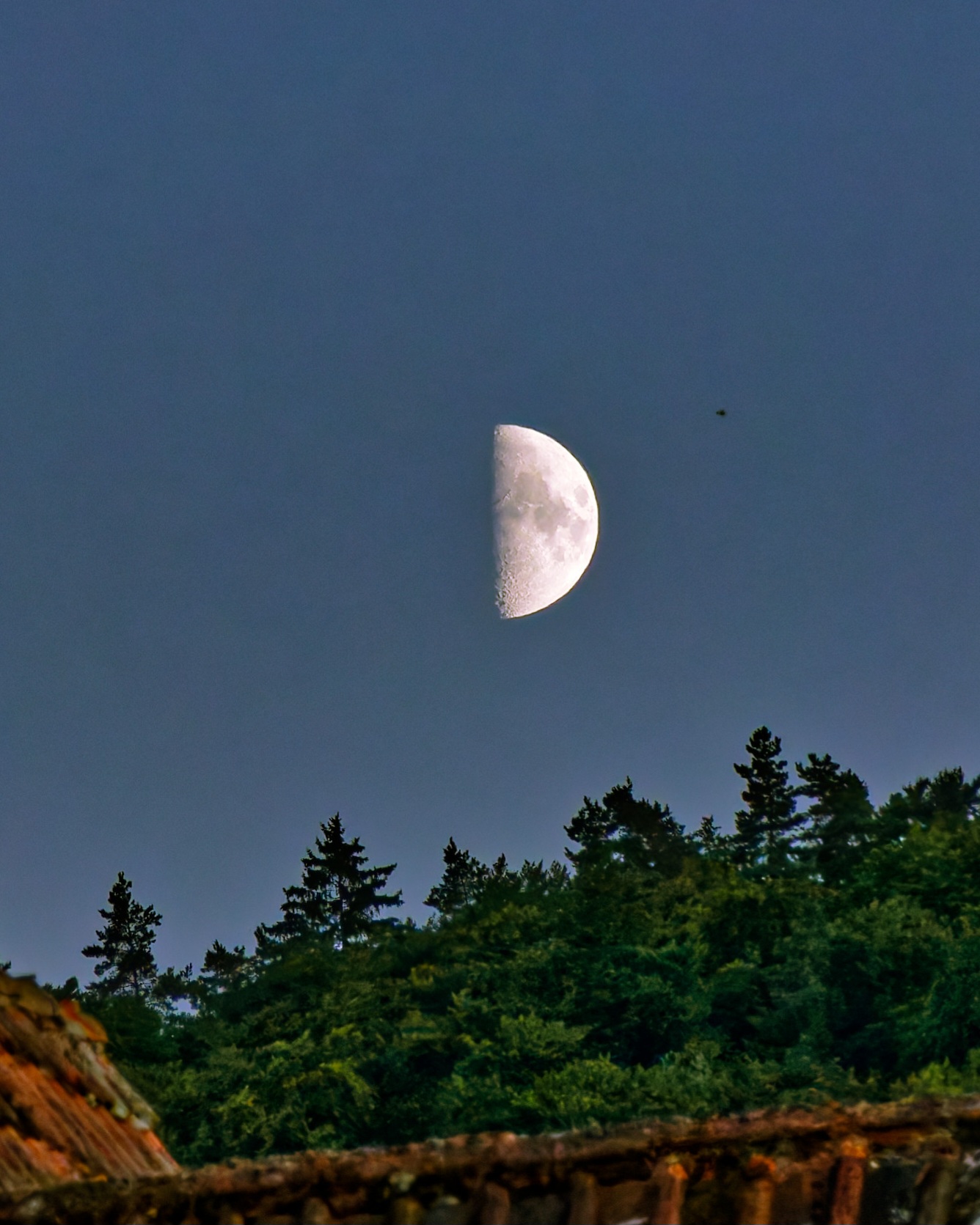 DSC07863_DxO.jpg