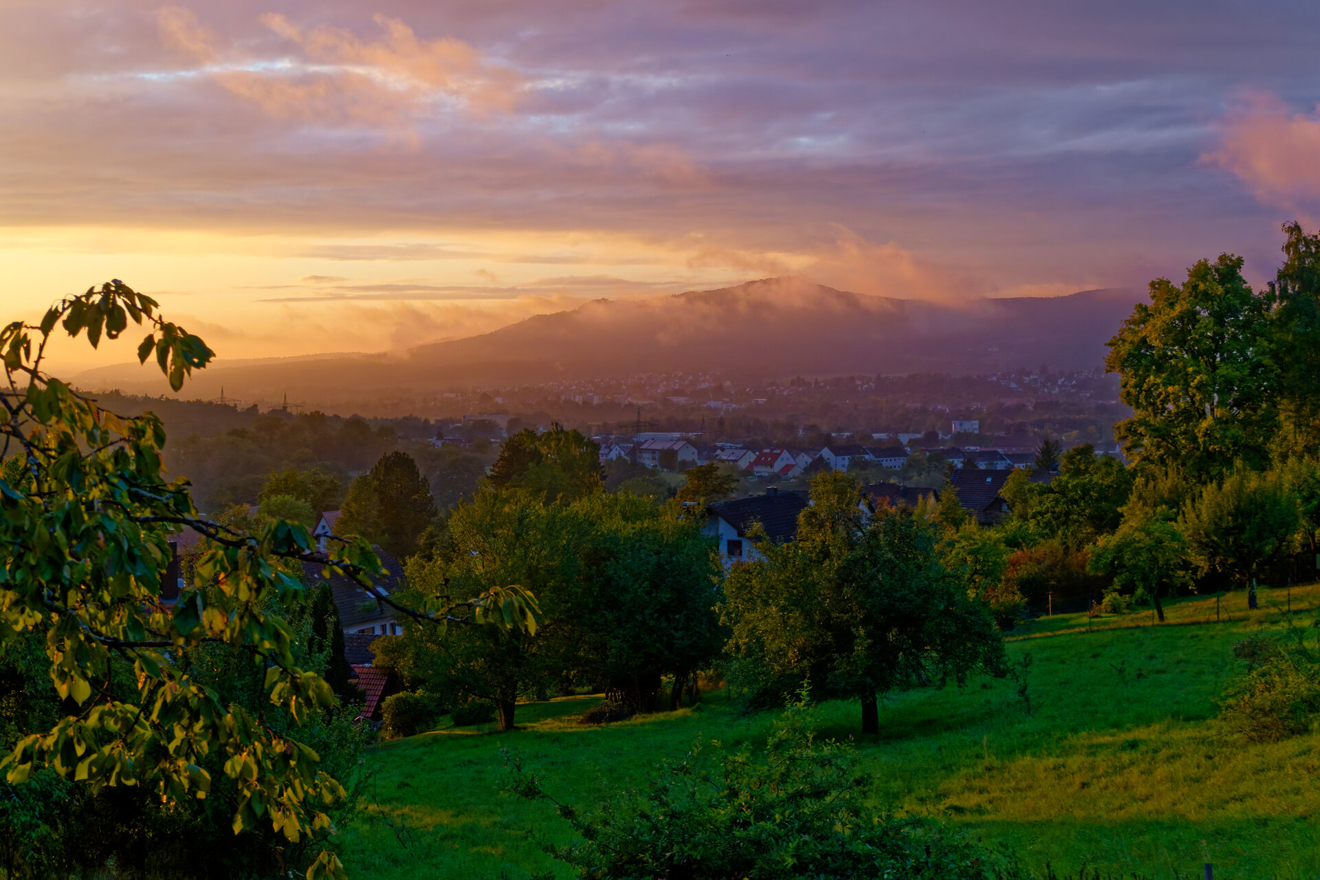 DSC07978_DxO.jpg