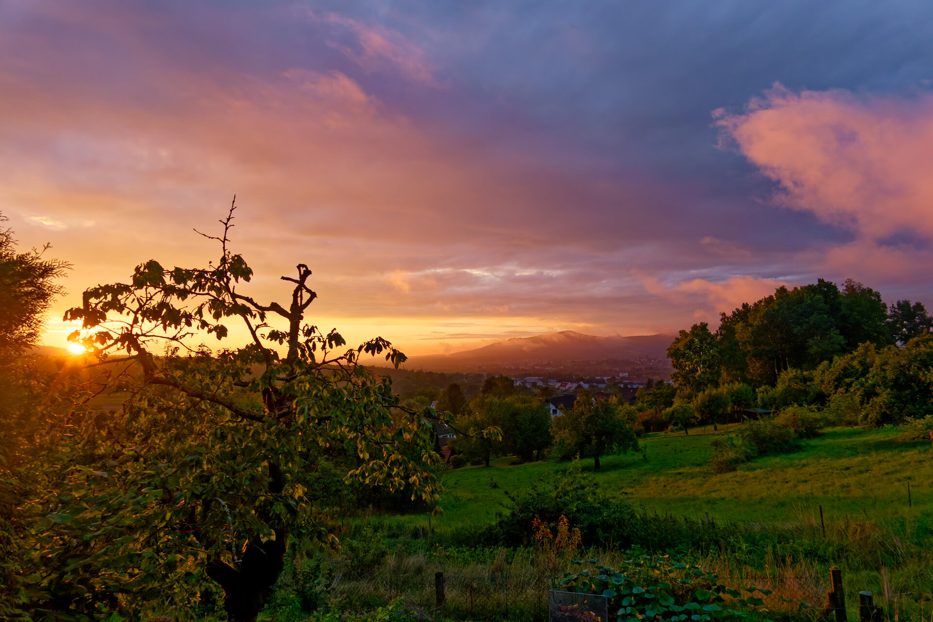 DSC07984_DxO.jpg
