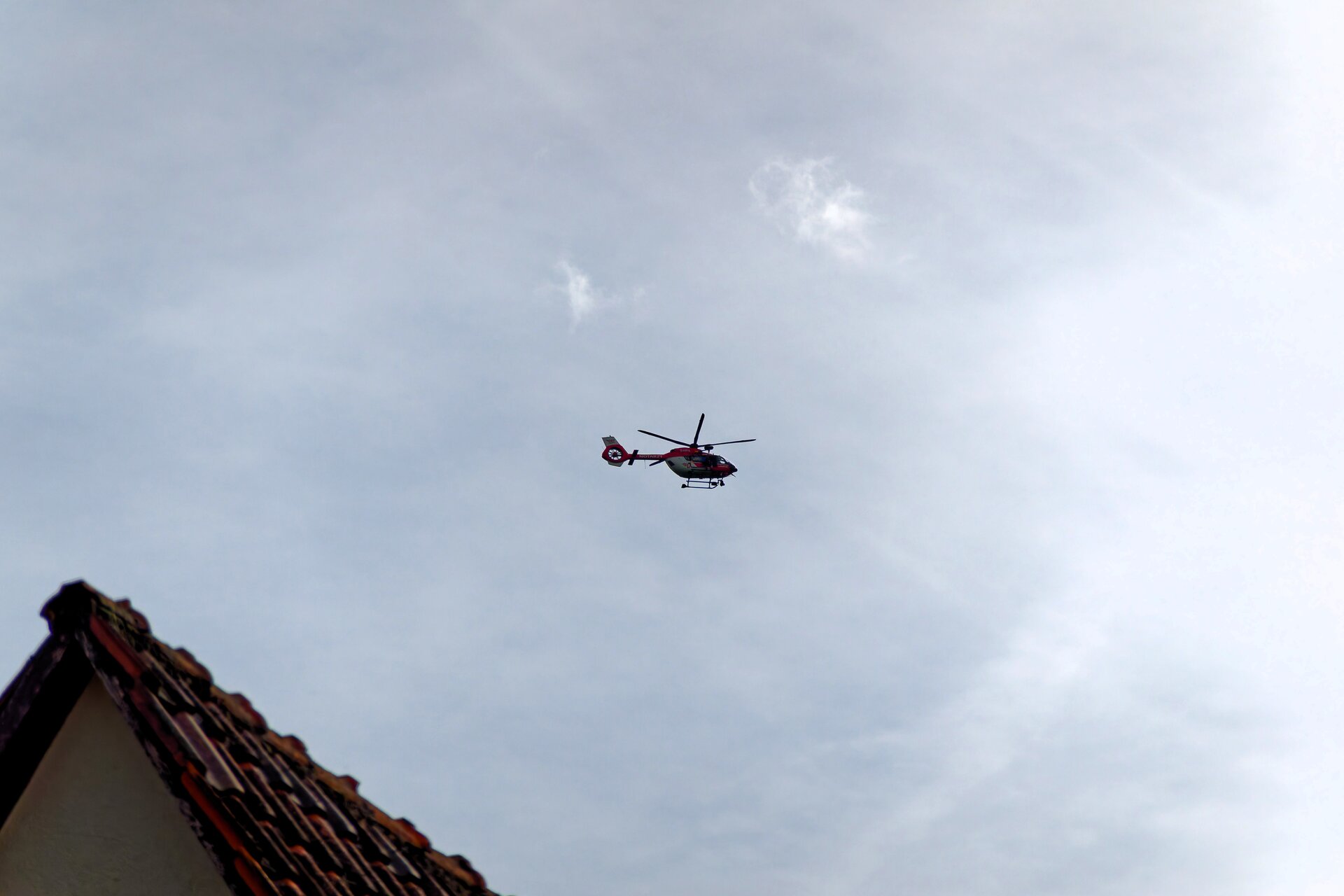 DSC08023_DxO.jpg