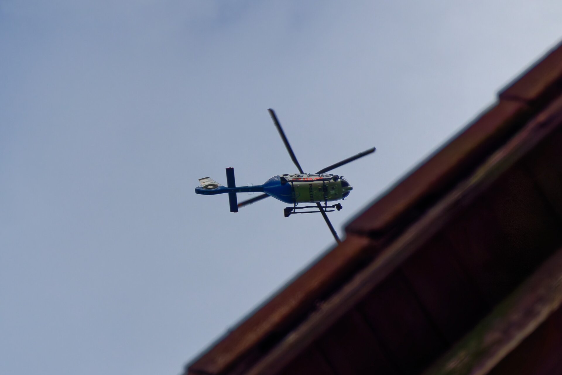 DSC08050_DxO.jpg