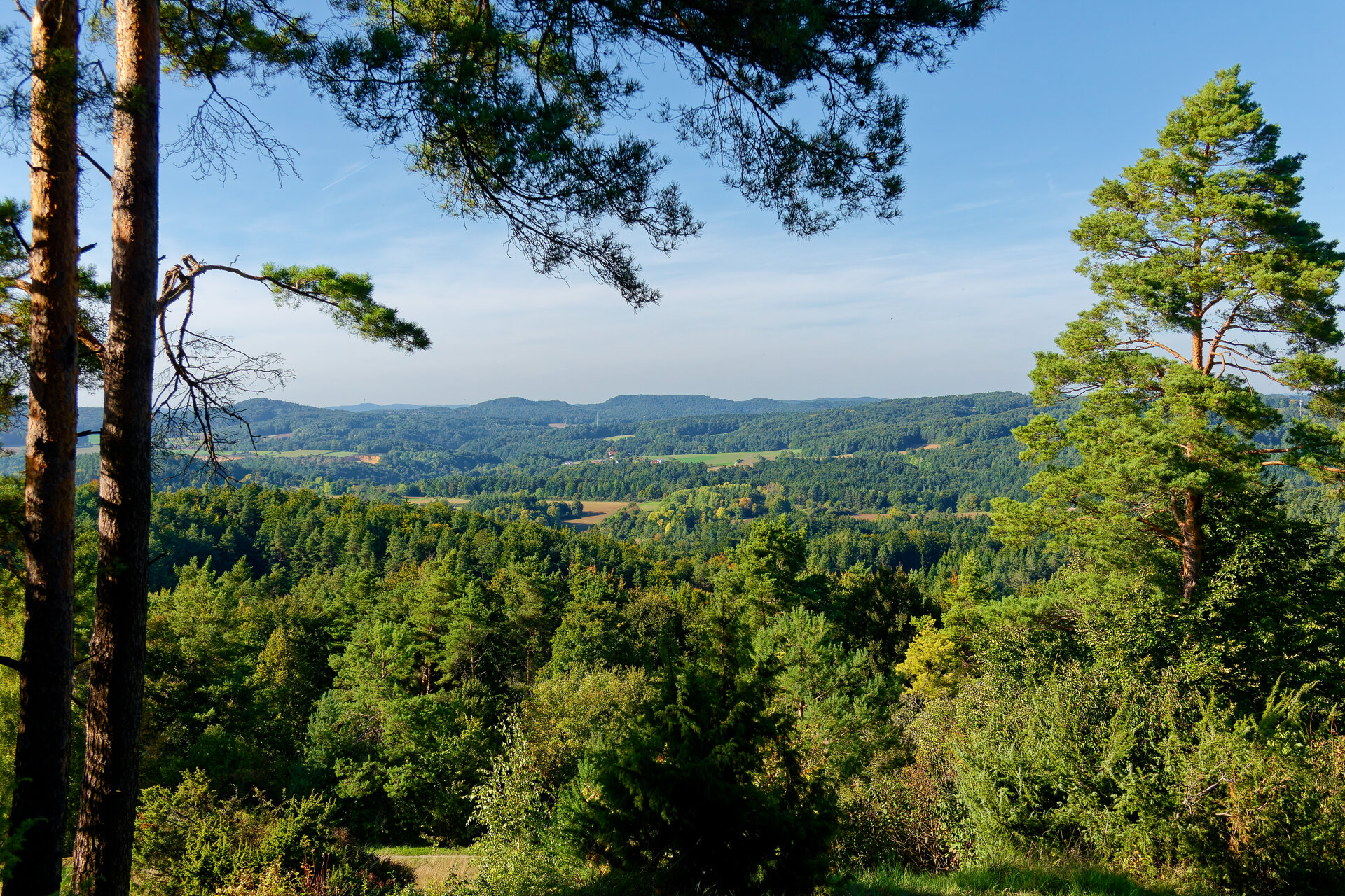DSC08156_DxO.jpg