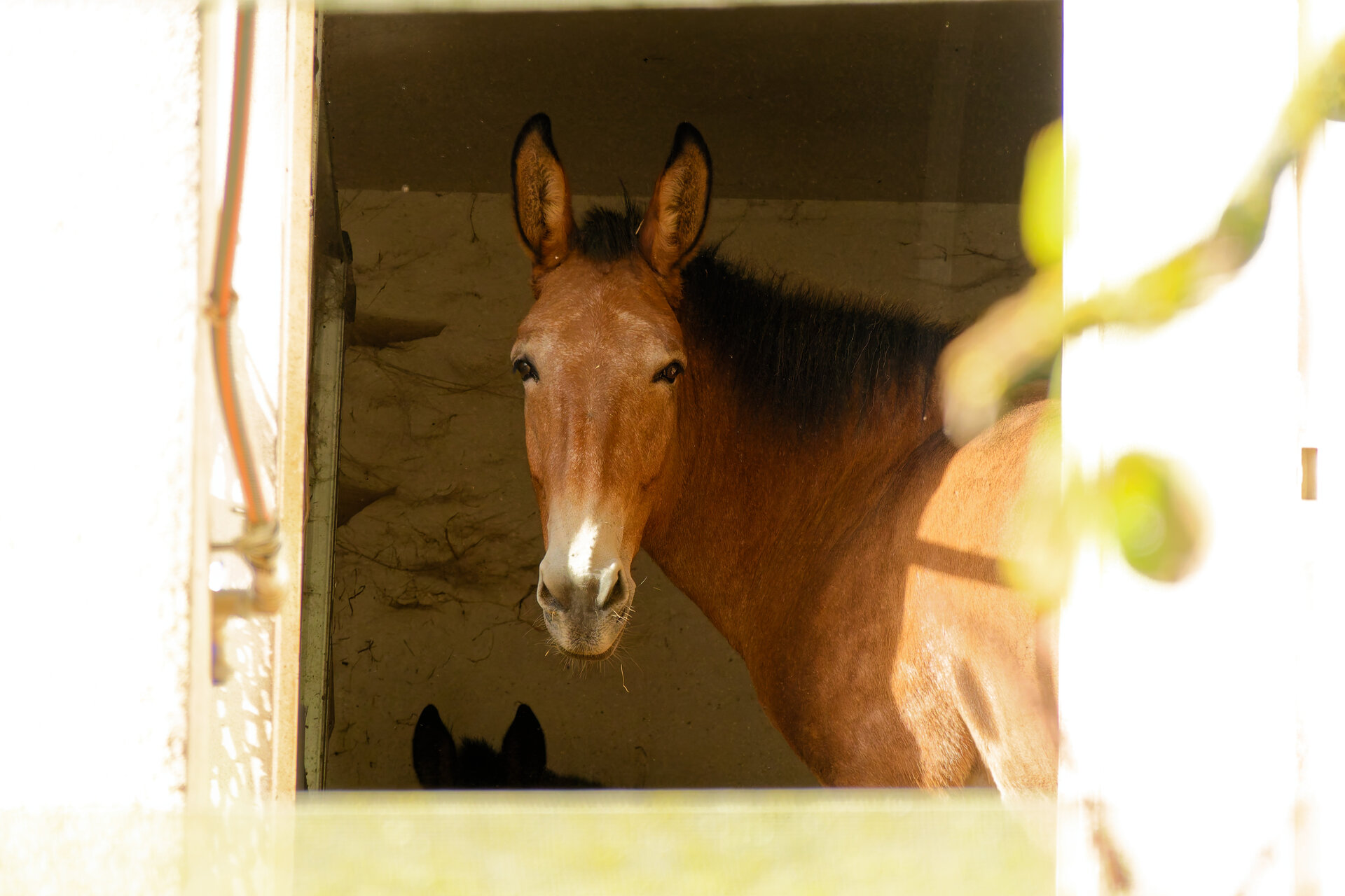 DSC08172_DxO.jpg