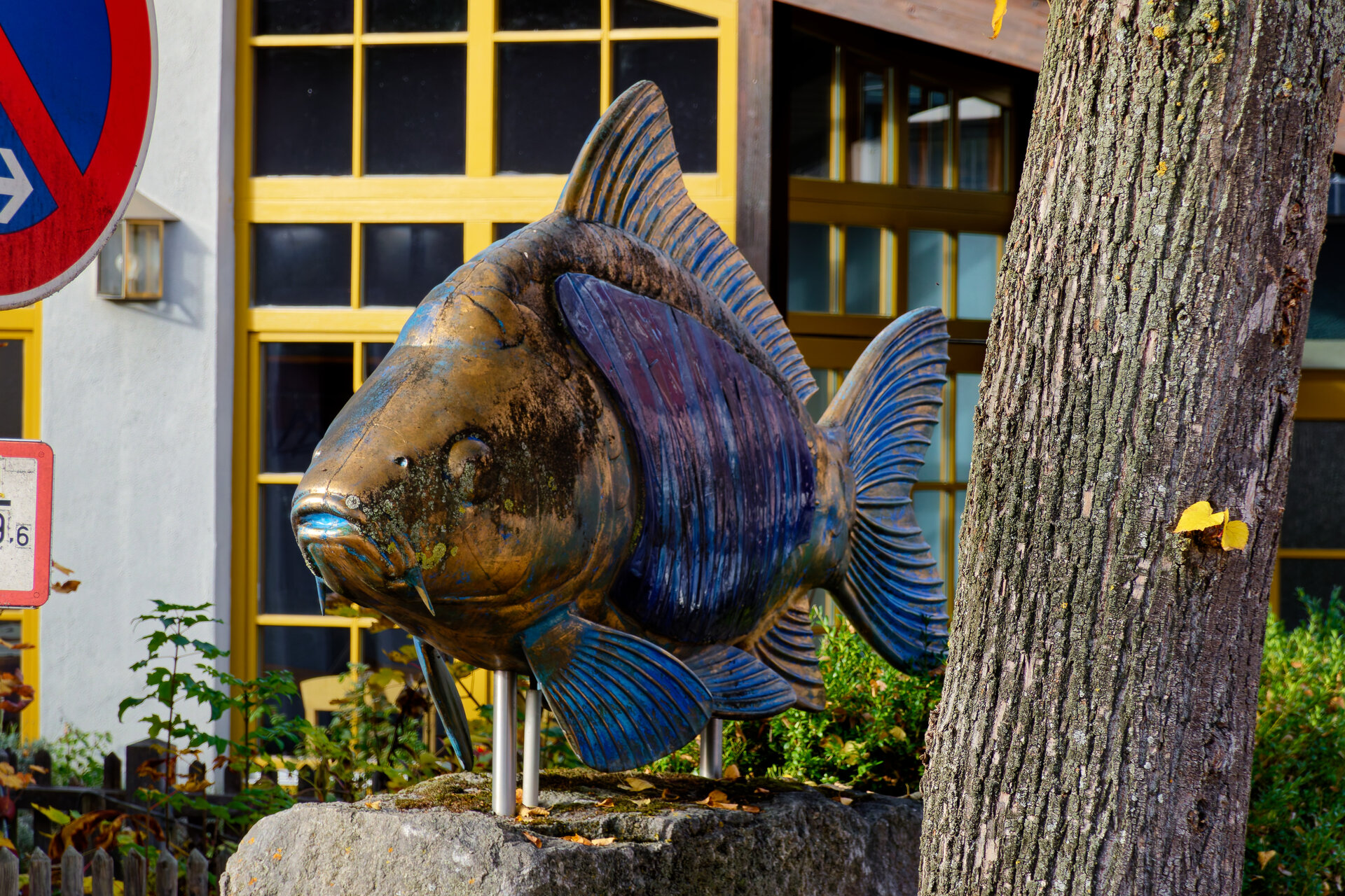 DSC08410_DxO.jpg