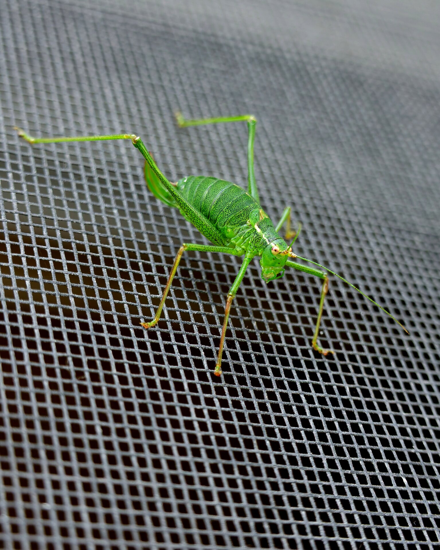 DSC08427_DxO(1).jpg