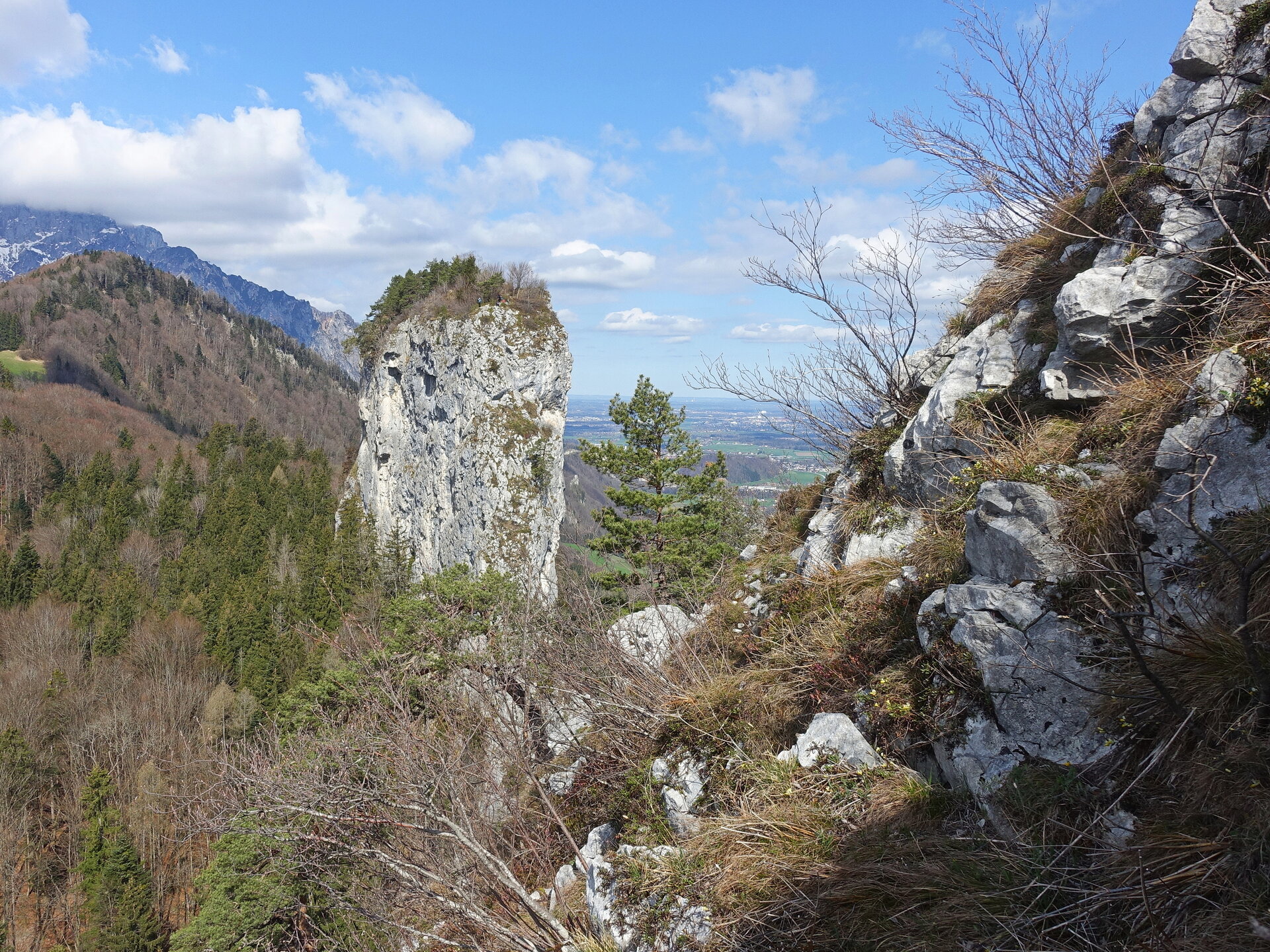 DSC08735.JPG