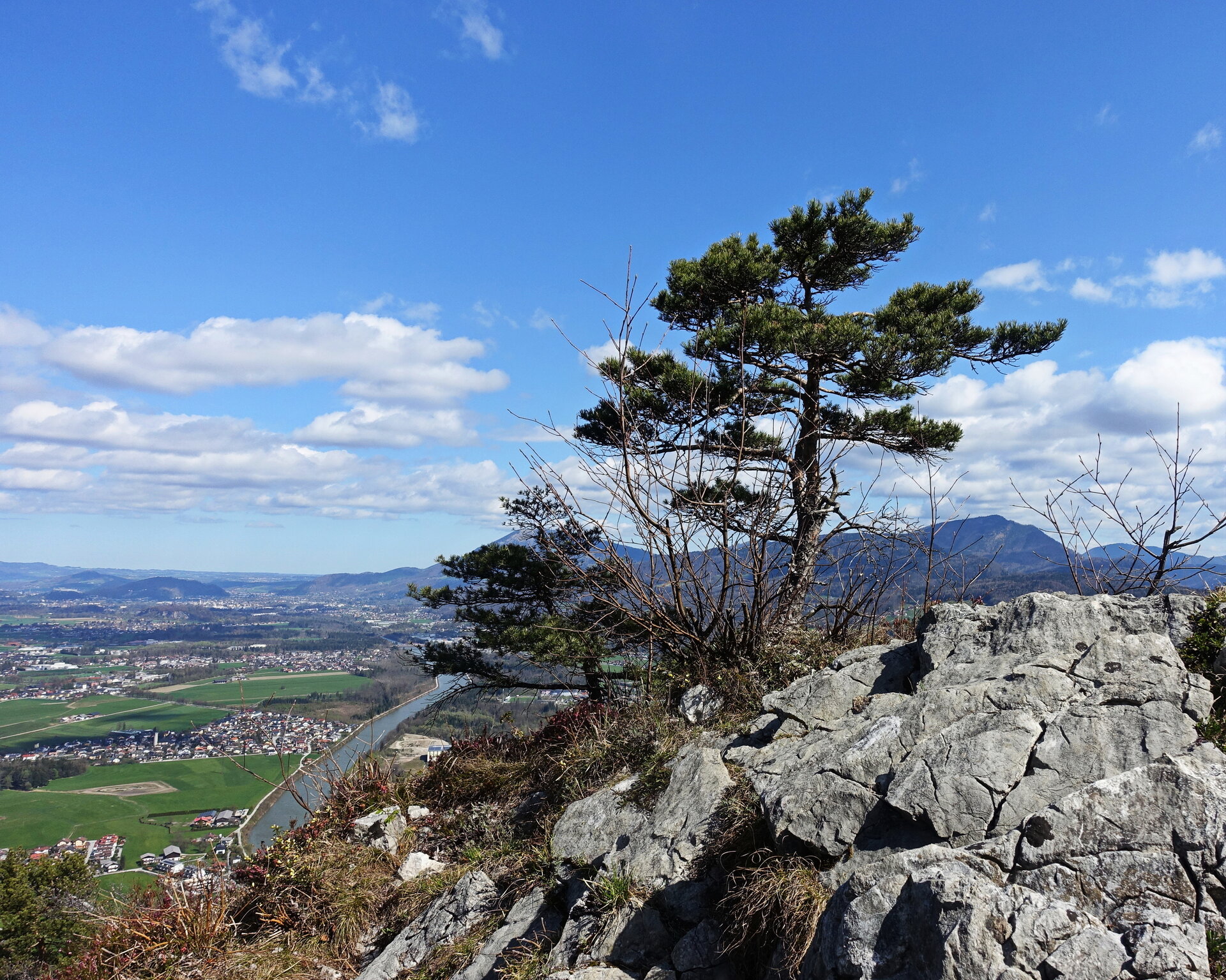 DSC08738.JPG