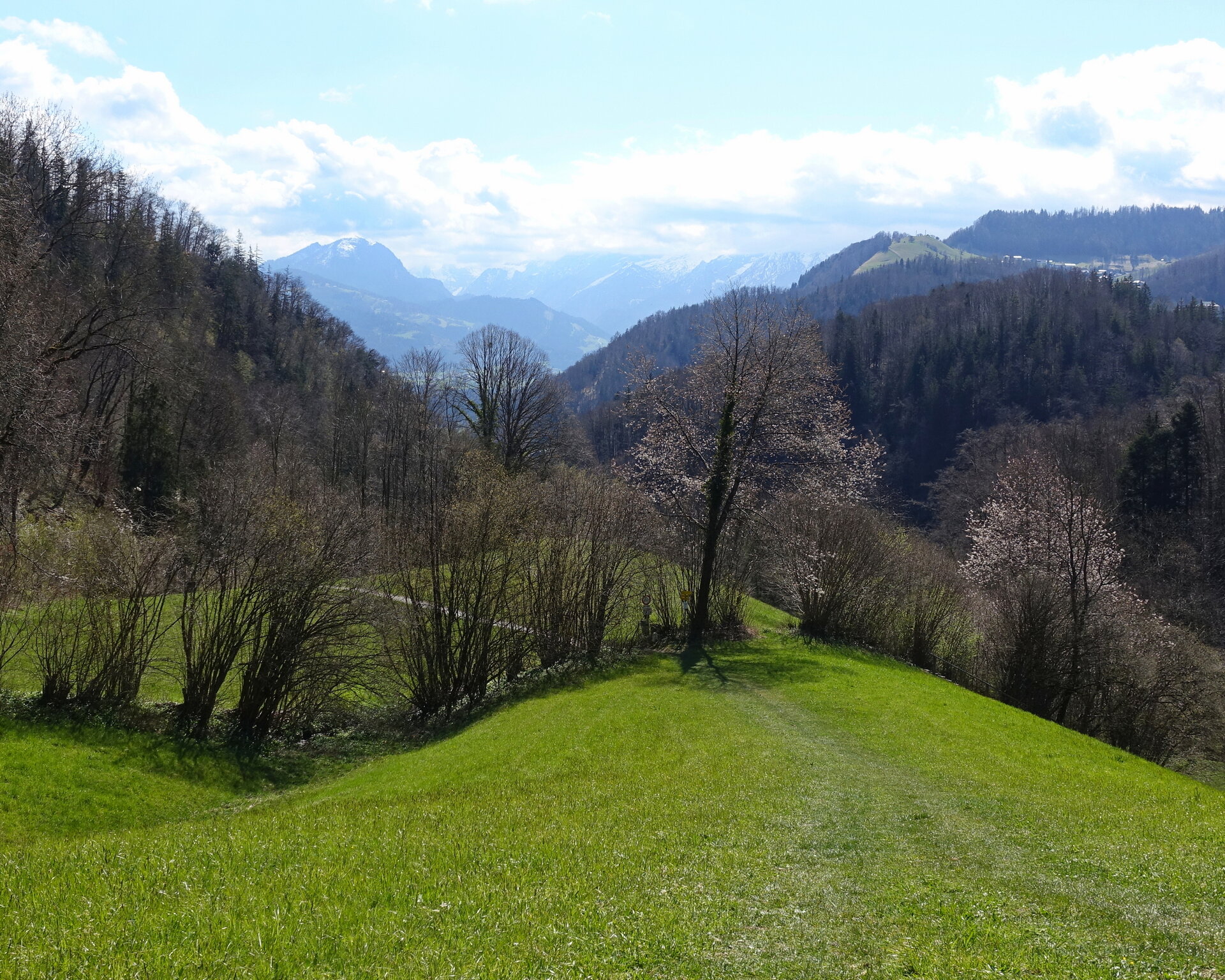 DSC08745.JPG