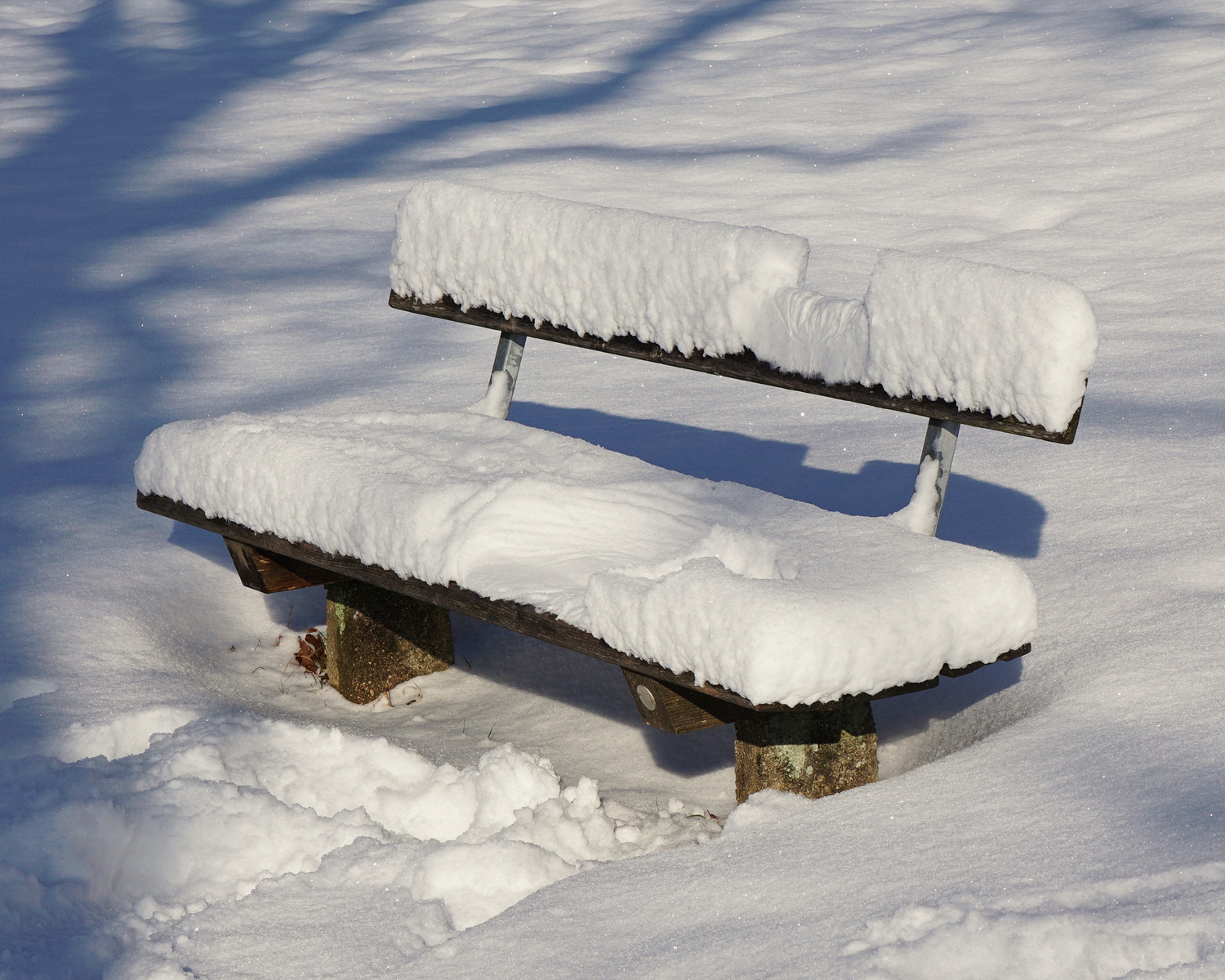 DSC09943_Bildgröße ändern.JPG