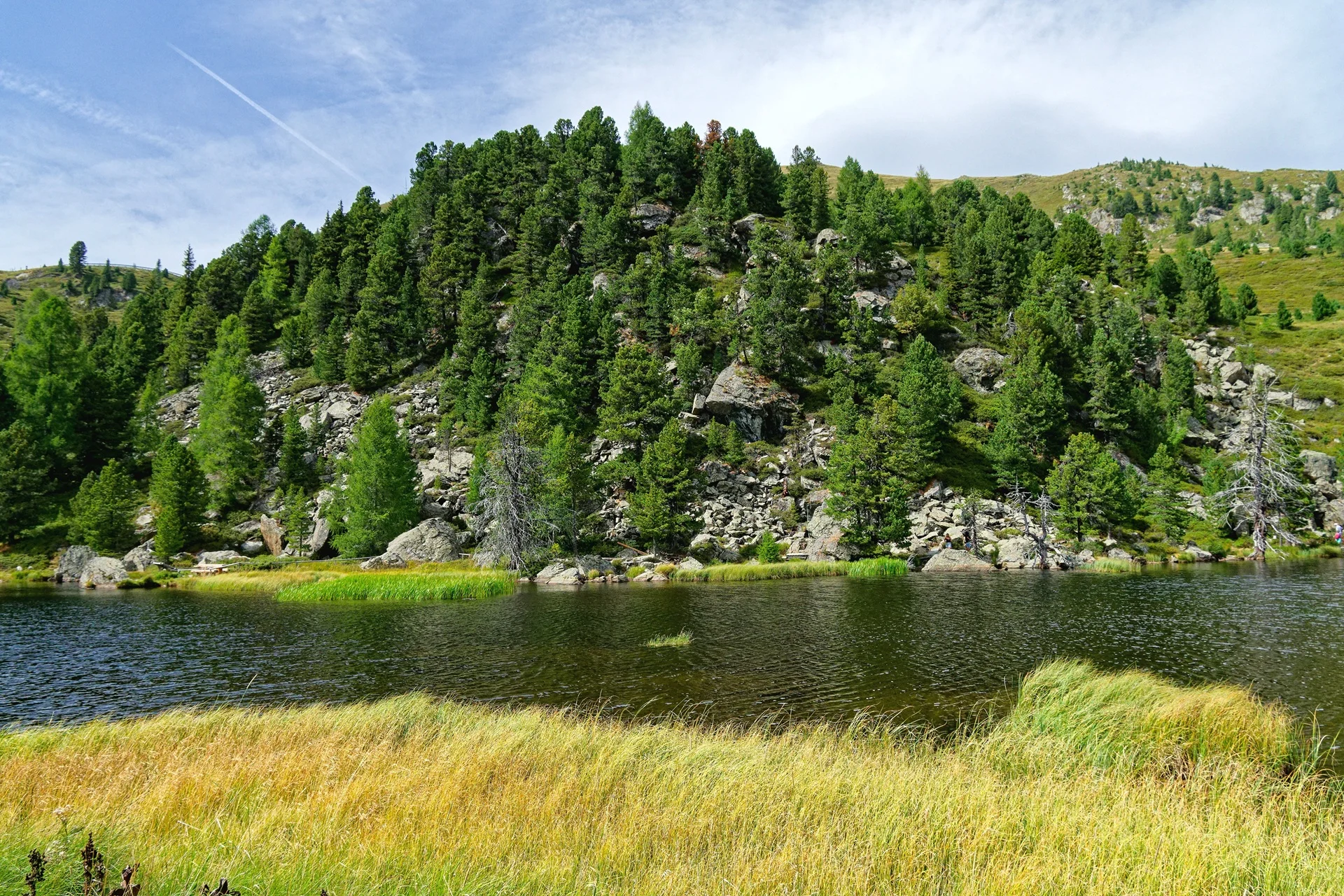 DSC09999_DxO.webp
