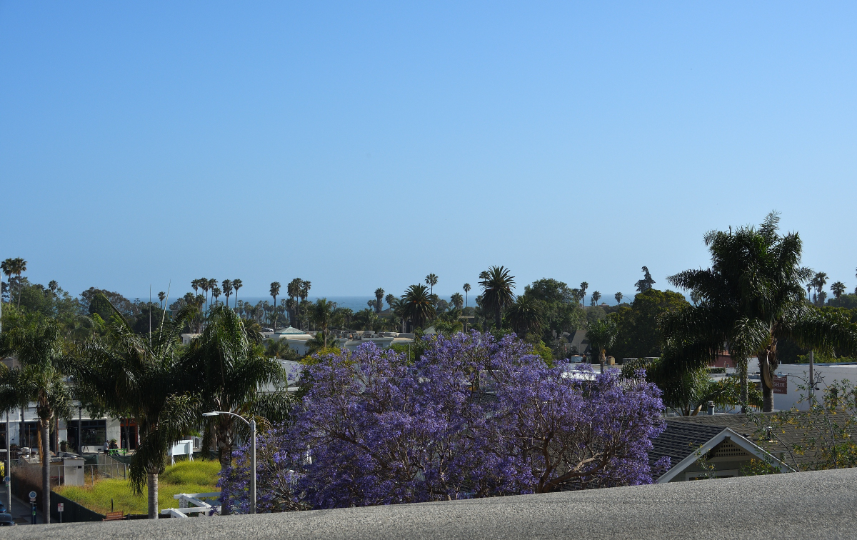DSC_0018_02.JPG