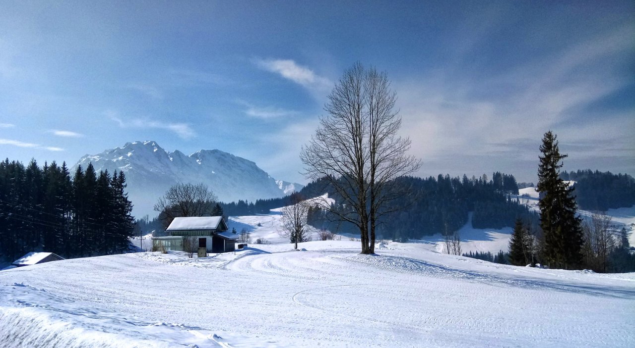 DSC_0029.jpg