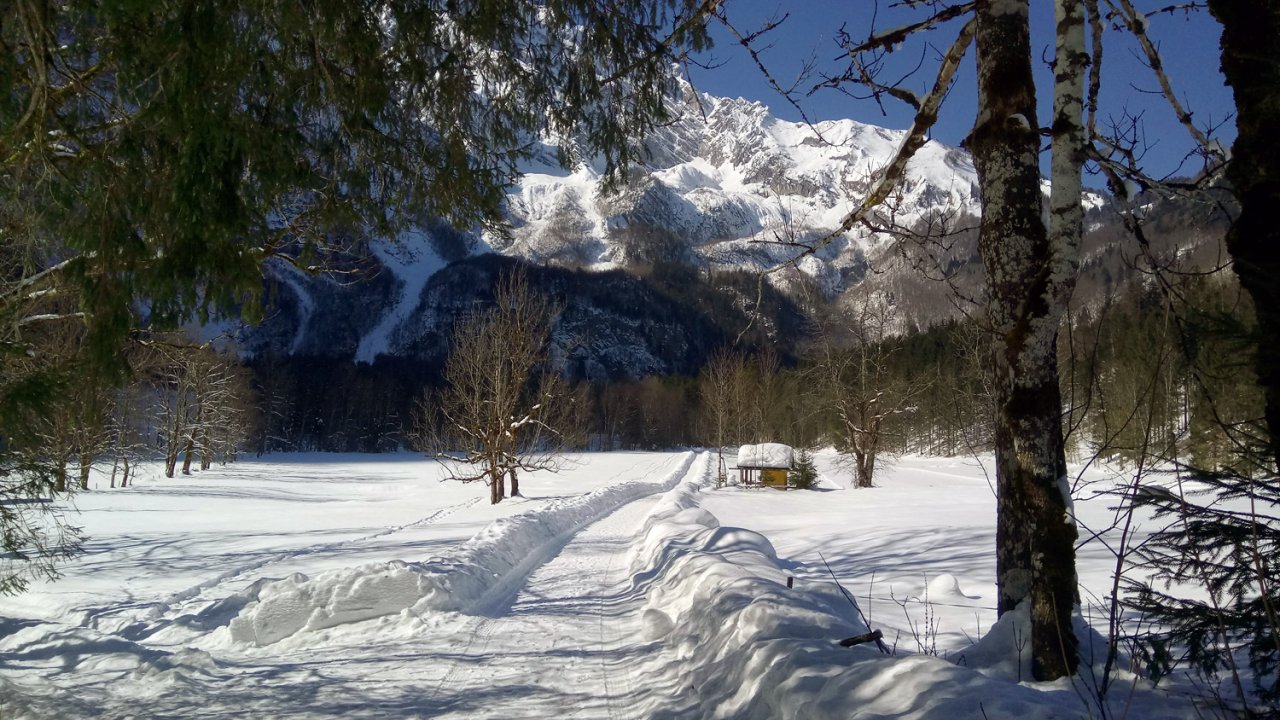 DSC_0032.jpg