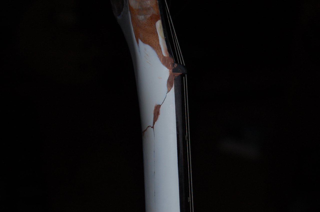 DSC_0137.JPG