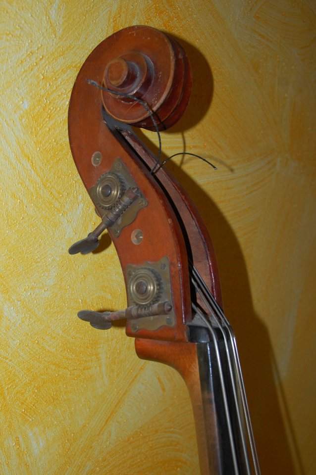 DSC_0343.JPG