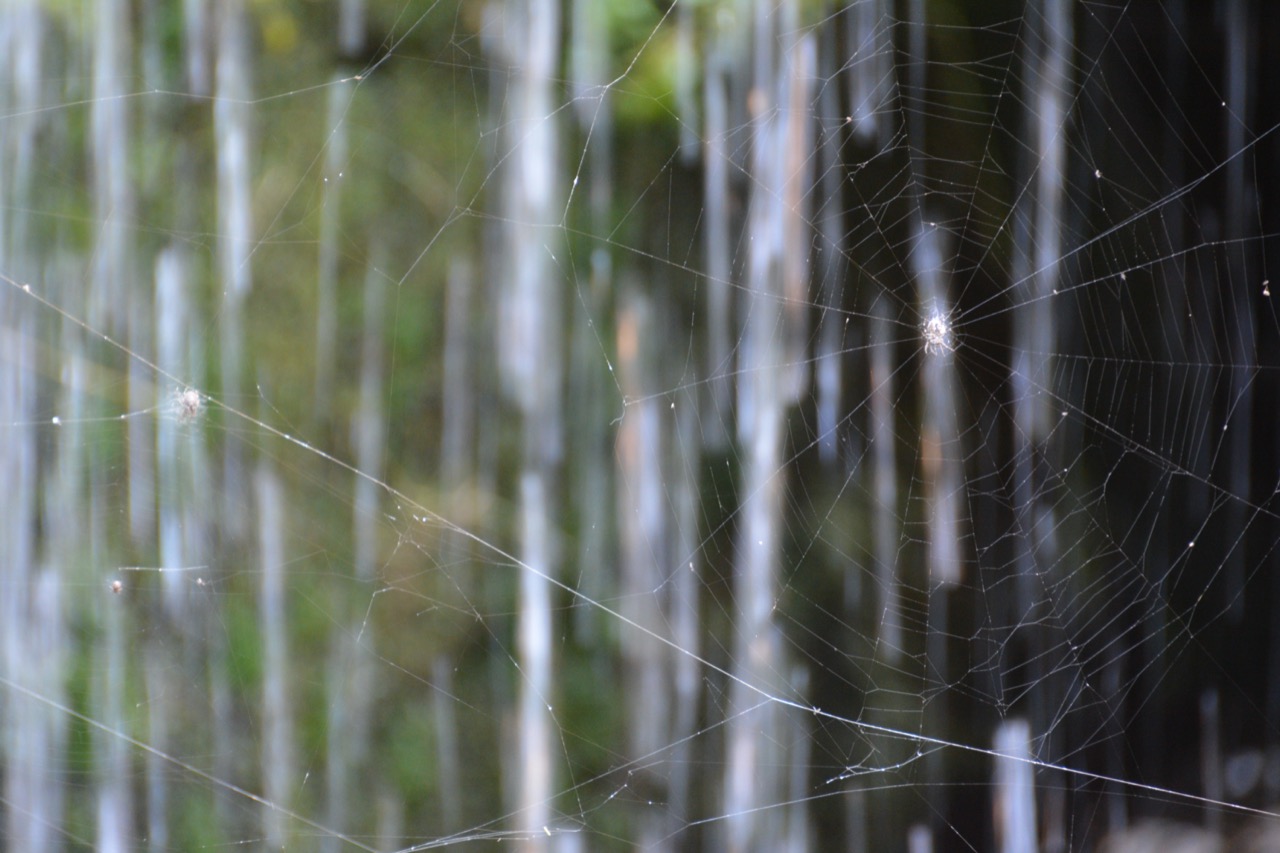 DSC_0793.JPG