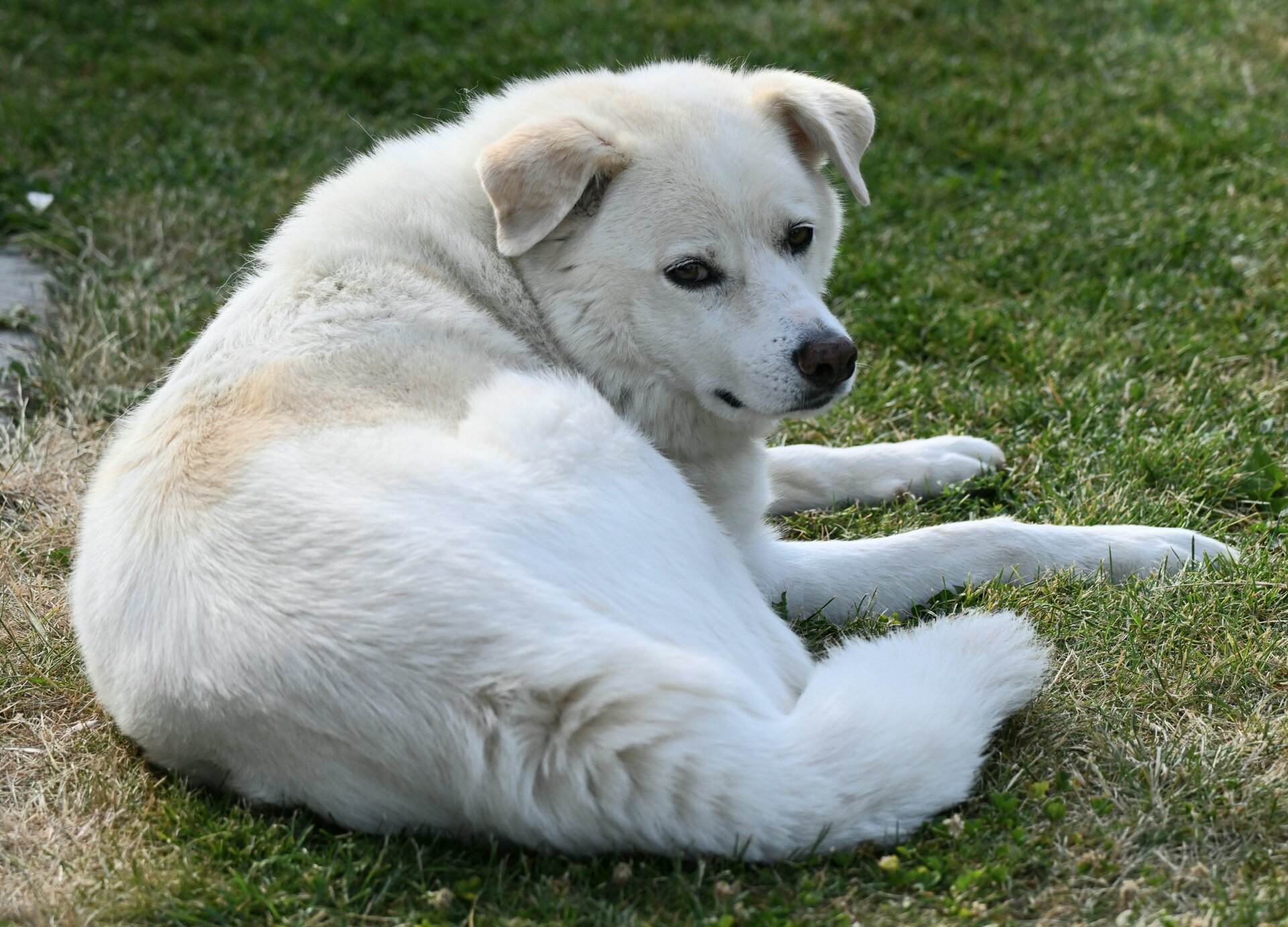DSC_1072.JPG