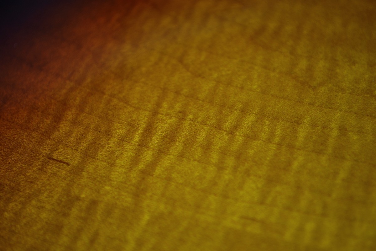 DSC_1103.jpg