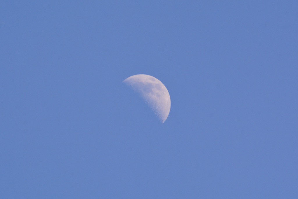 DSC_1192.jpg